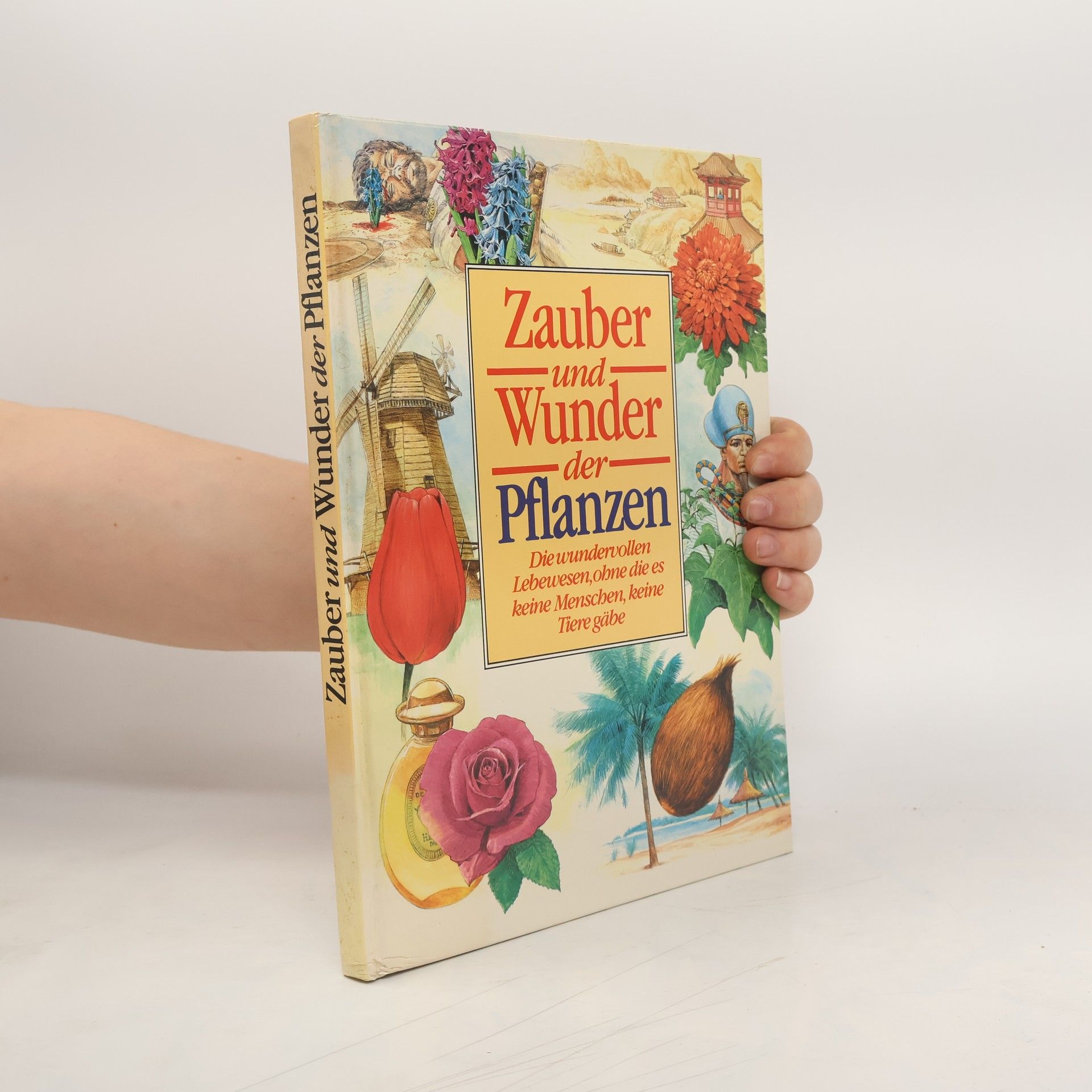 Autorenkollektiv Zauber und Wunder der Pflanzen