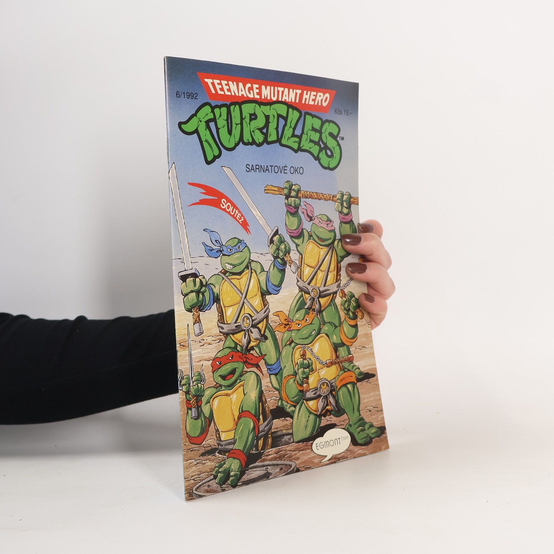 Beth Mitchroney Teenage Mutant Hero Turtles #06