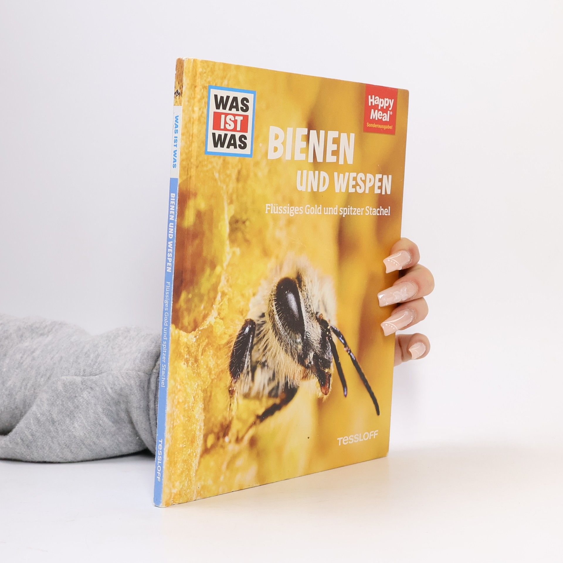 Autorenkollektiv Bienen und Wespen