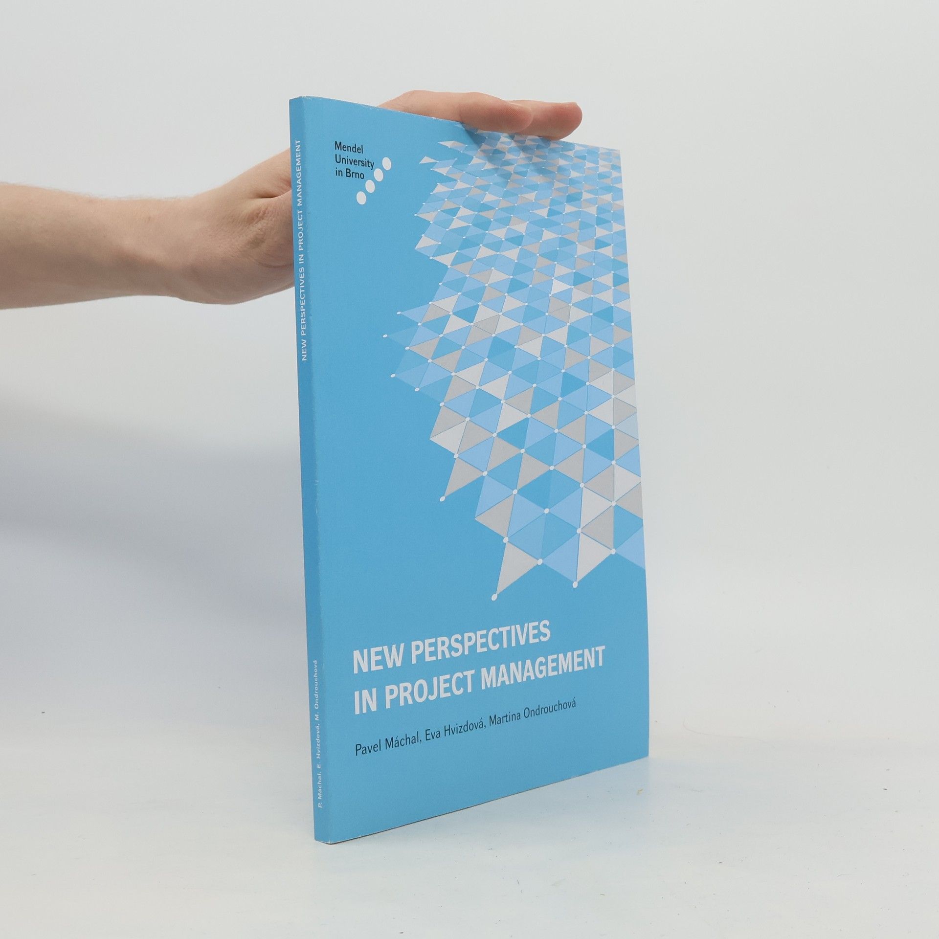 New Perspectives in Project Management