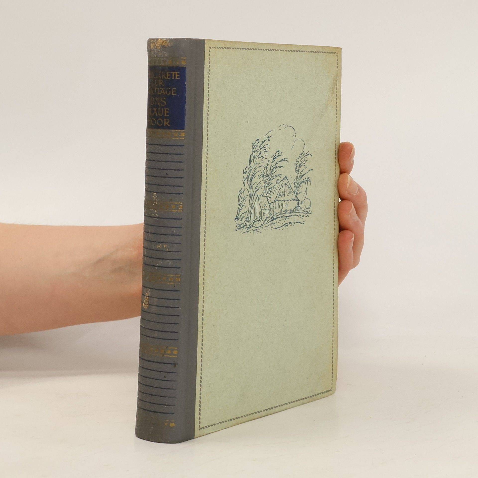 Margarete zur Bentlage Das Blaue Moor