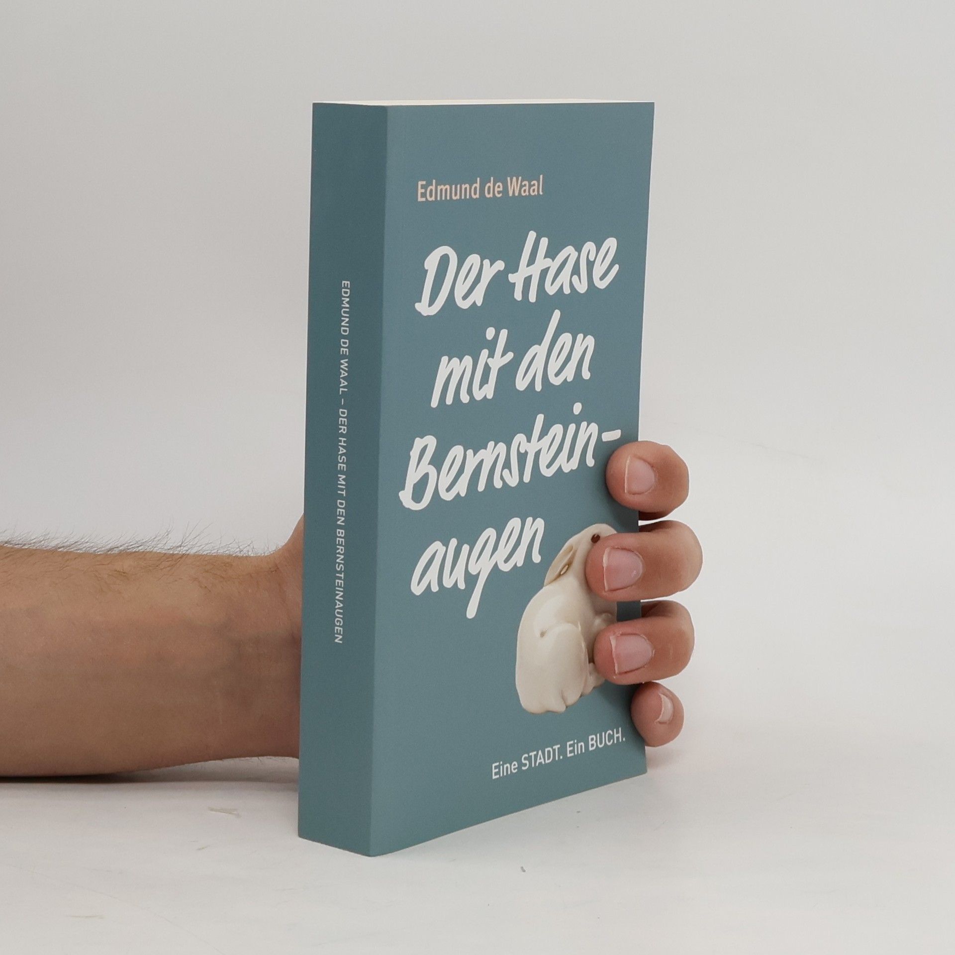 Edmund de Waal Der Hase mit den Bernsteinaugen