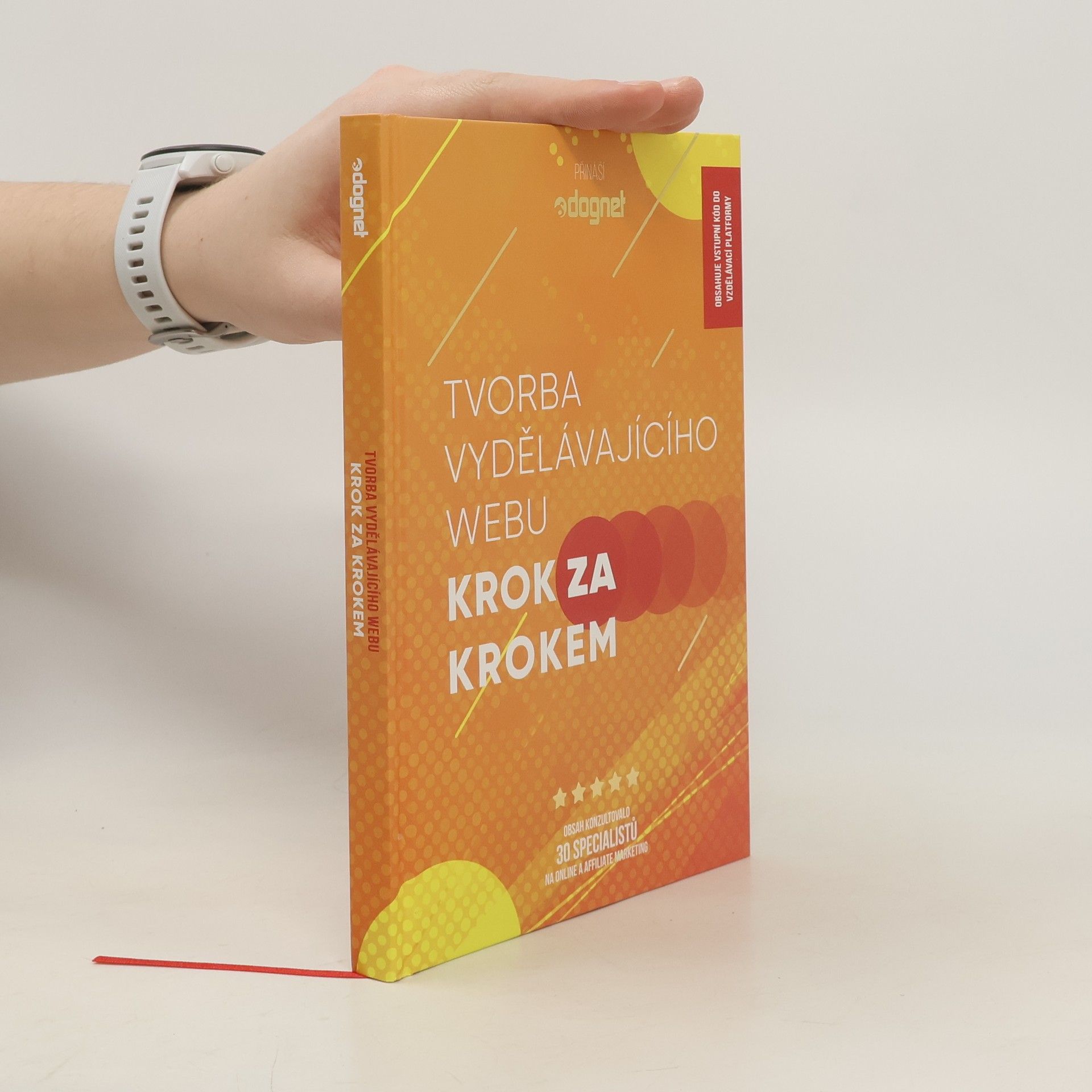 Hanka Čajková Tvorba vydělávajícího webu : krok za krokem