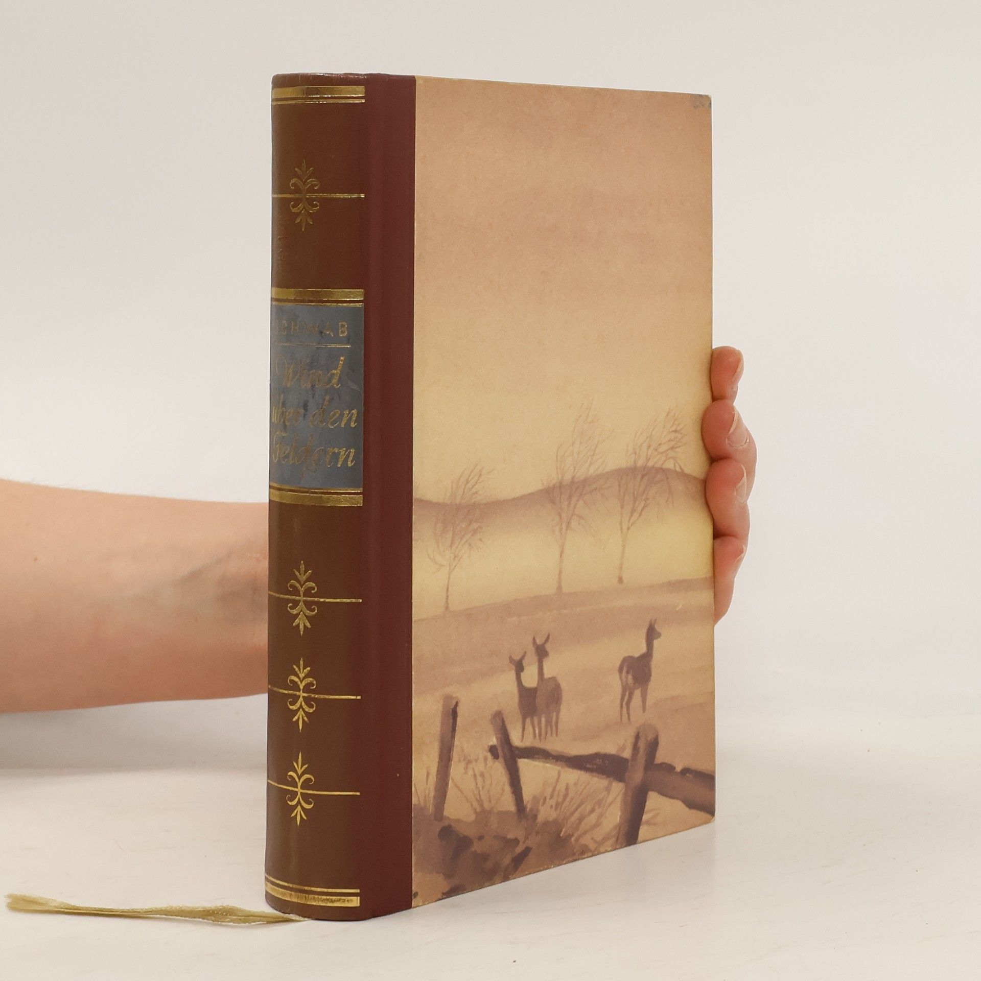 Der Wind über den Feldern