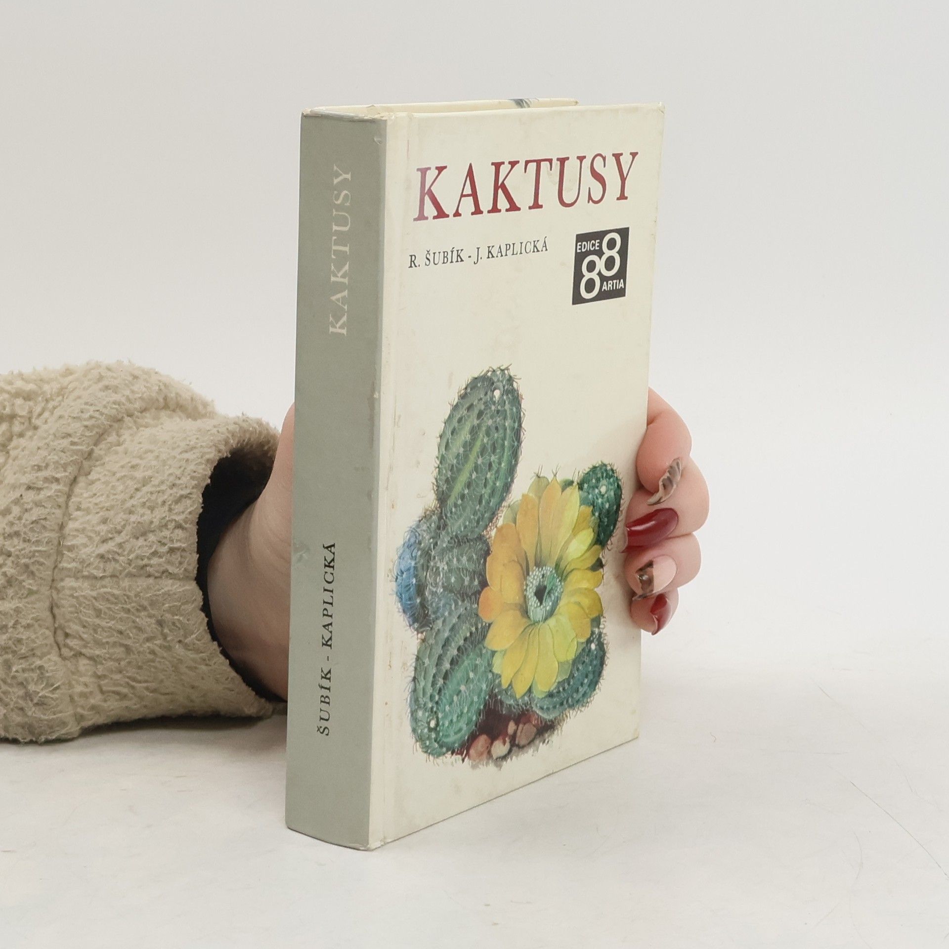 Rudolf Šubík Kaktusy