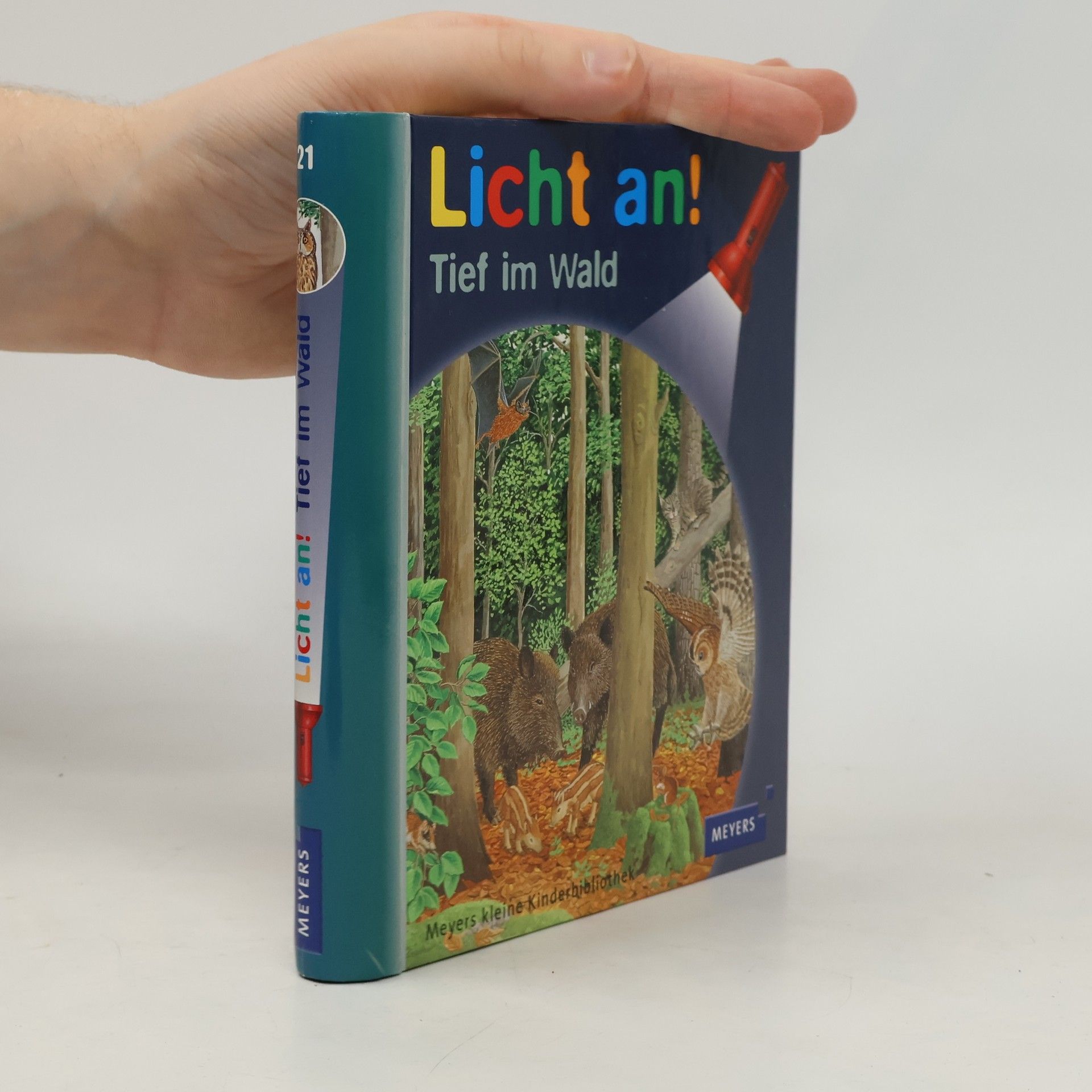 Licht an! Tief im Wald