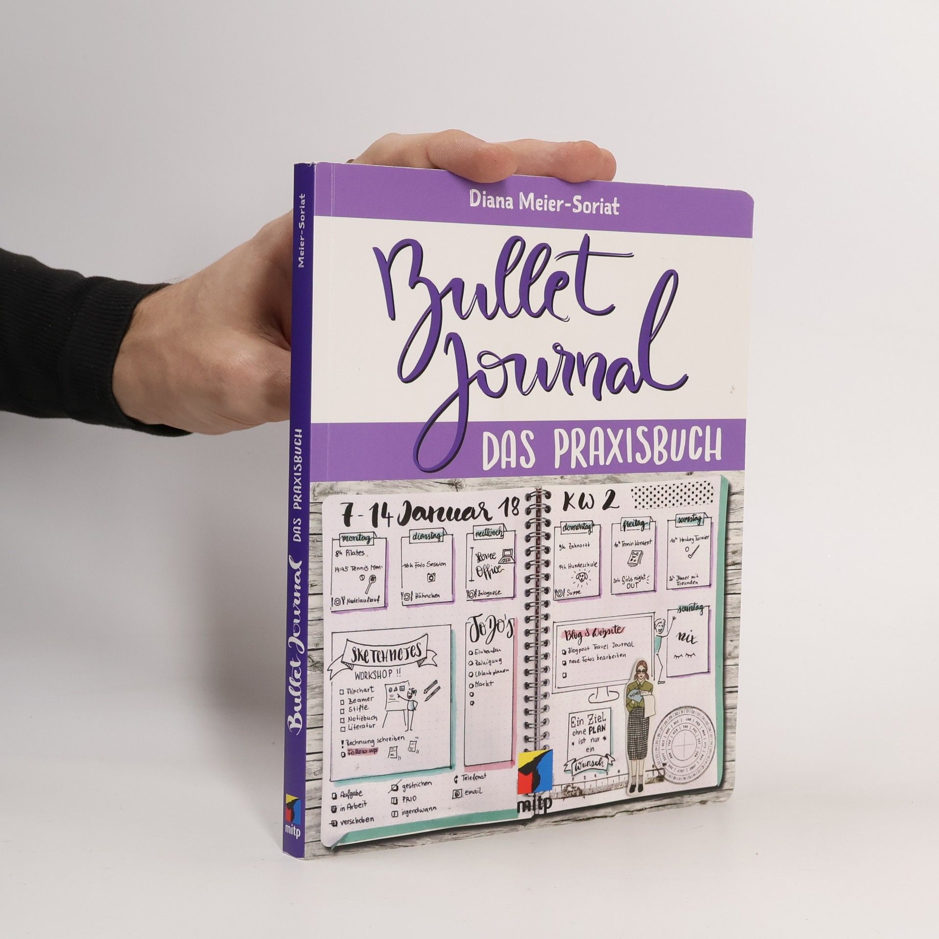 Diana Meier Soriat Bullet Journal