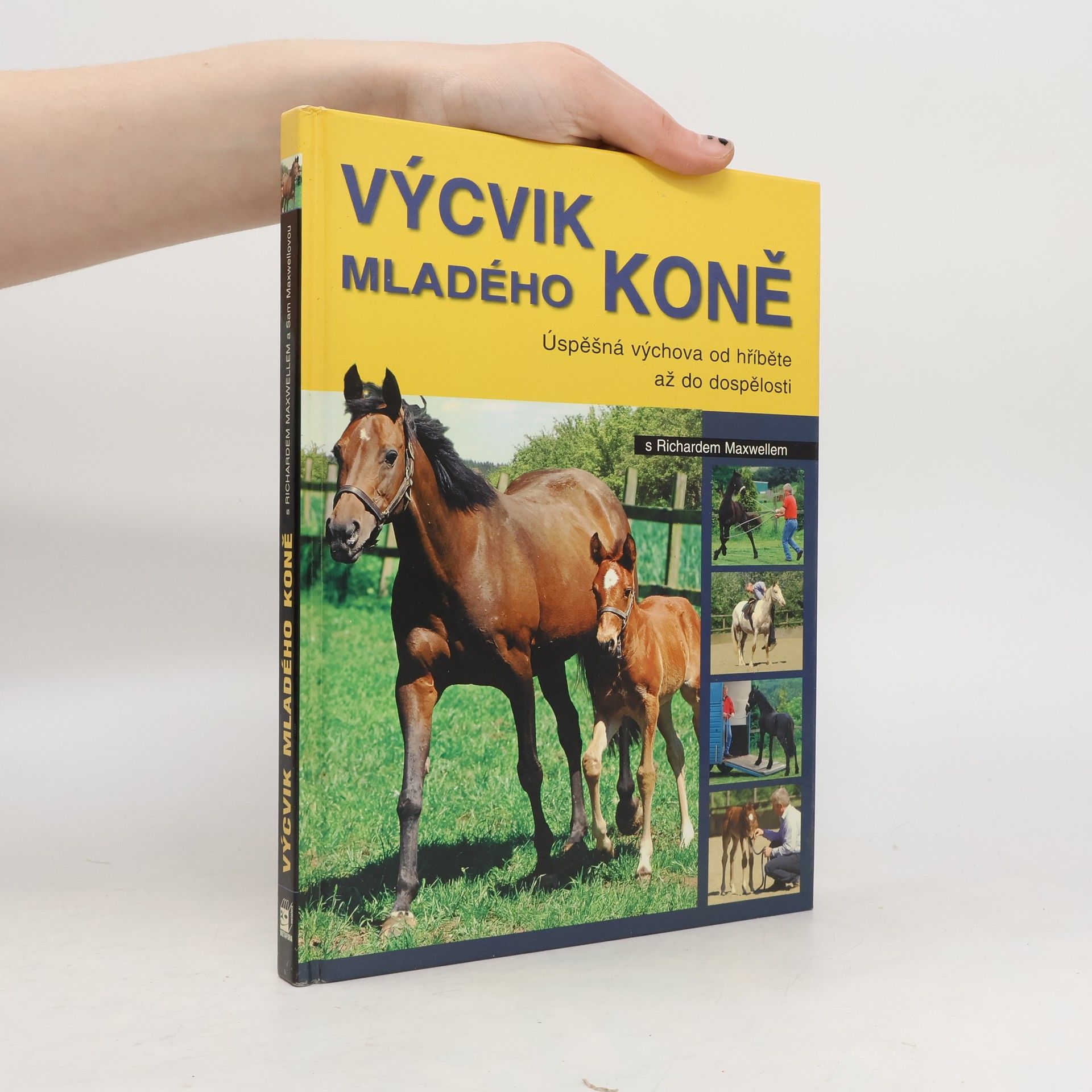 Richard Maxwell Výcvik mladého koně s Richardem Maxwellem