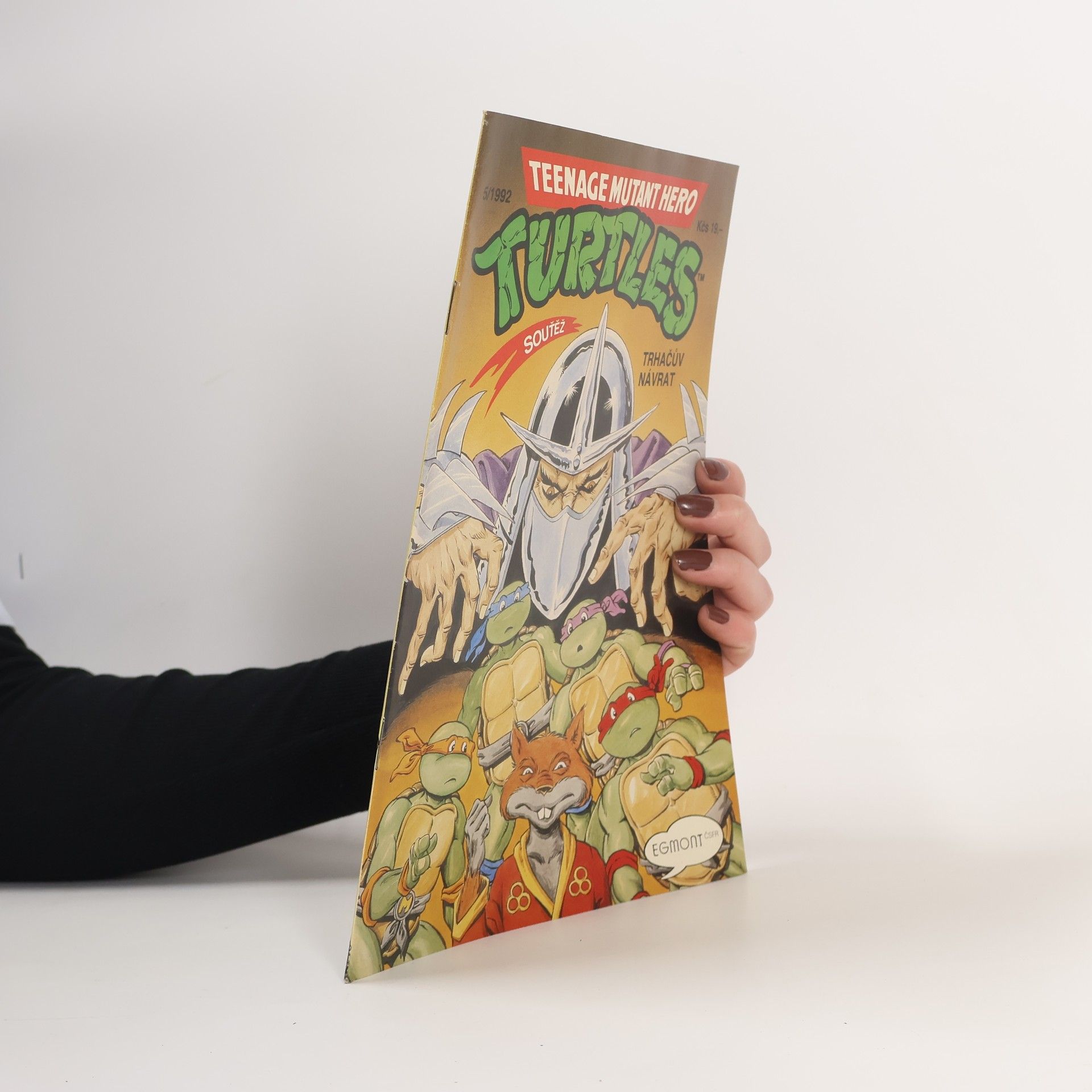 Dave Garcia Teenage Mutant Hero Turtles #05