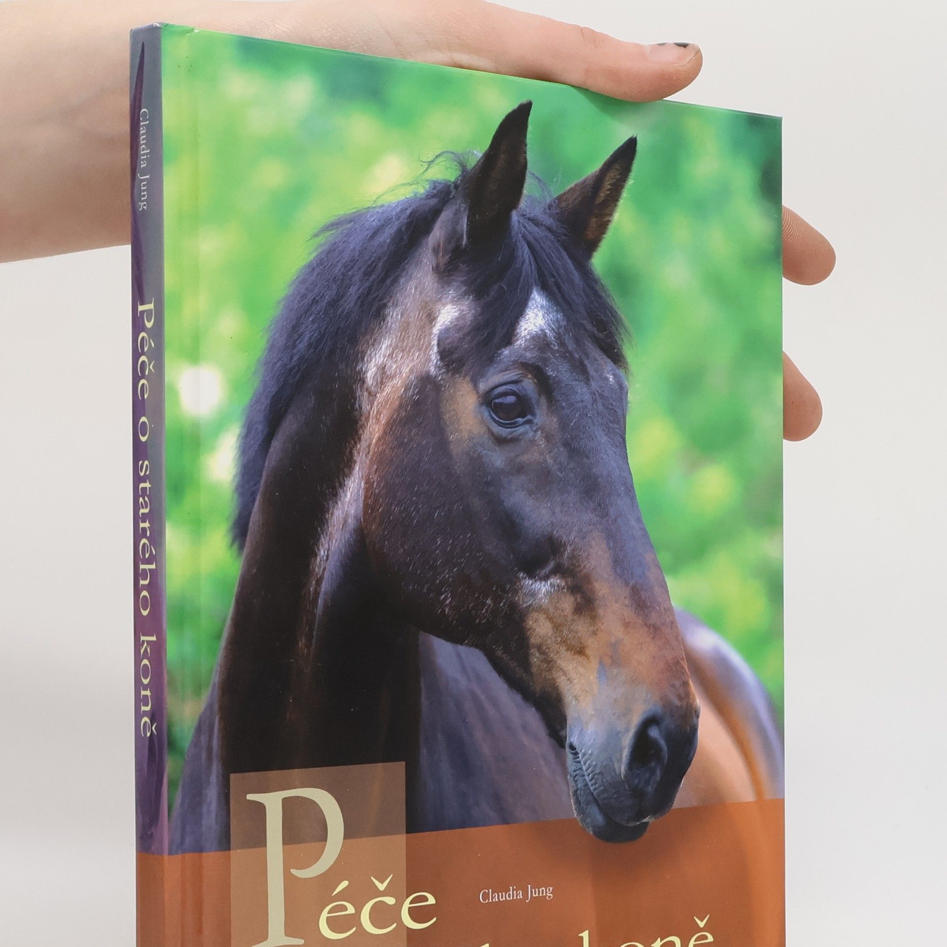 Claudia Jung Péče o starého koně