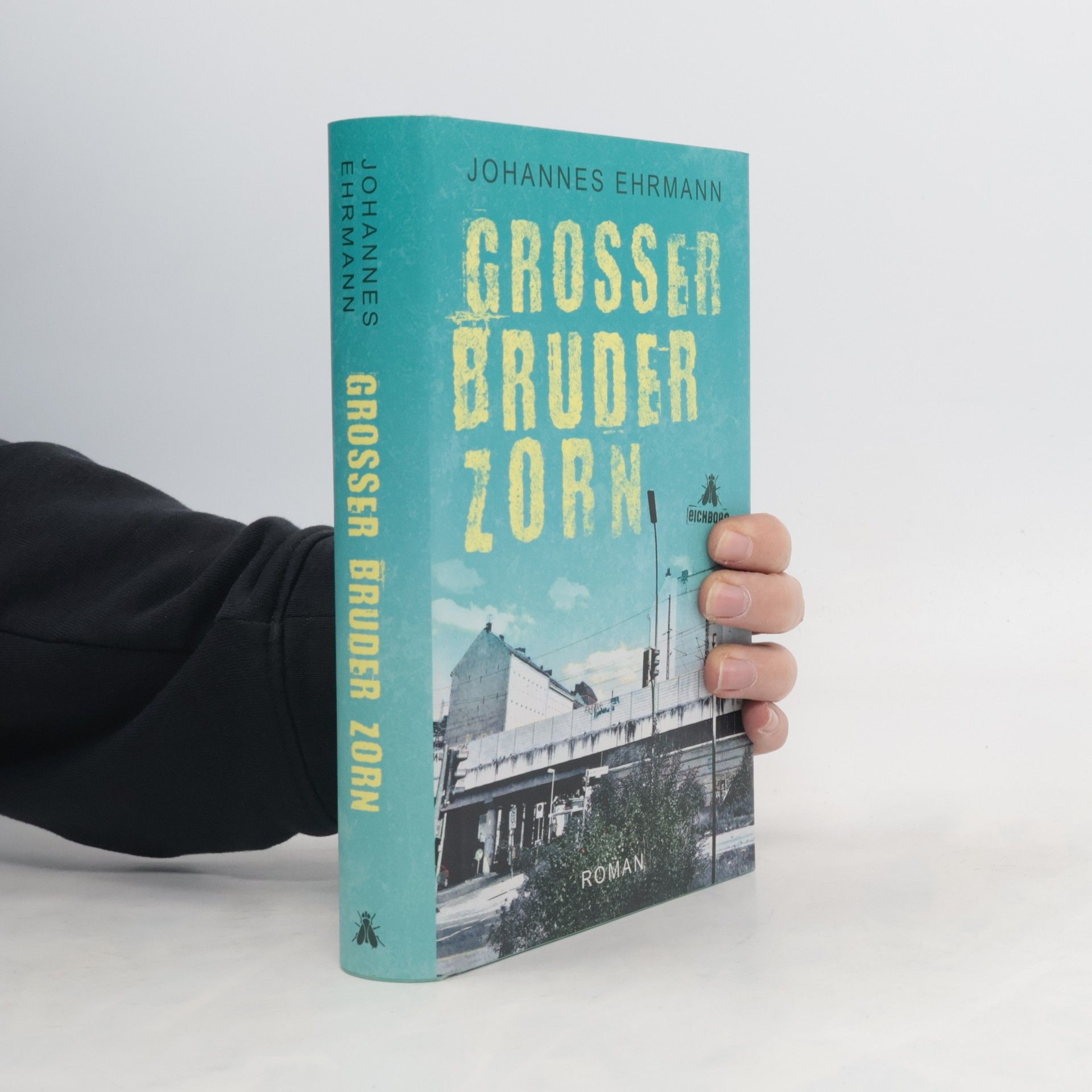 Johannes Ehrmann Großer Bruder Zorn