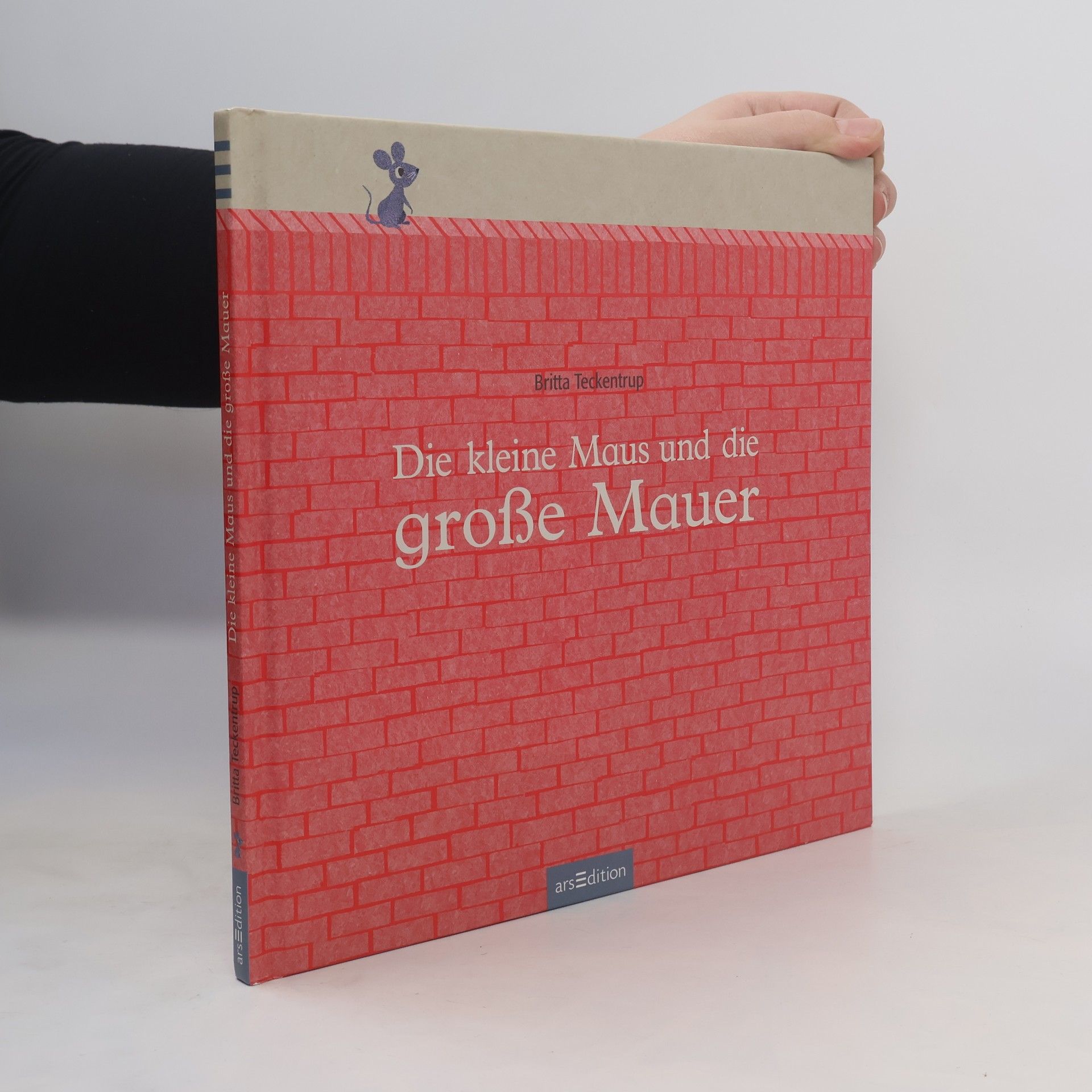 Britta Teckentrup Die kleine Maus und die große Mauer