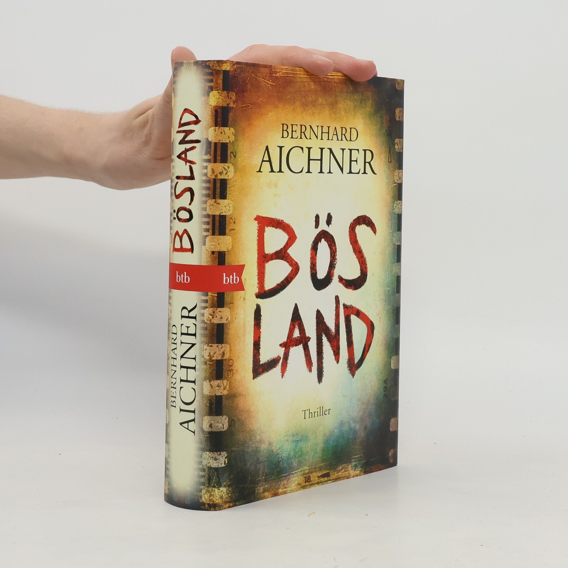 Bernhard Aichner Bösland