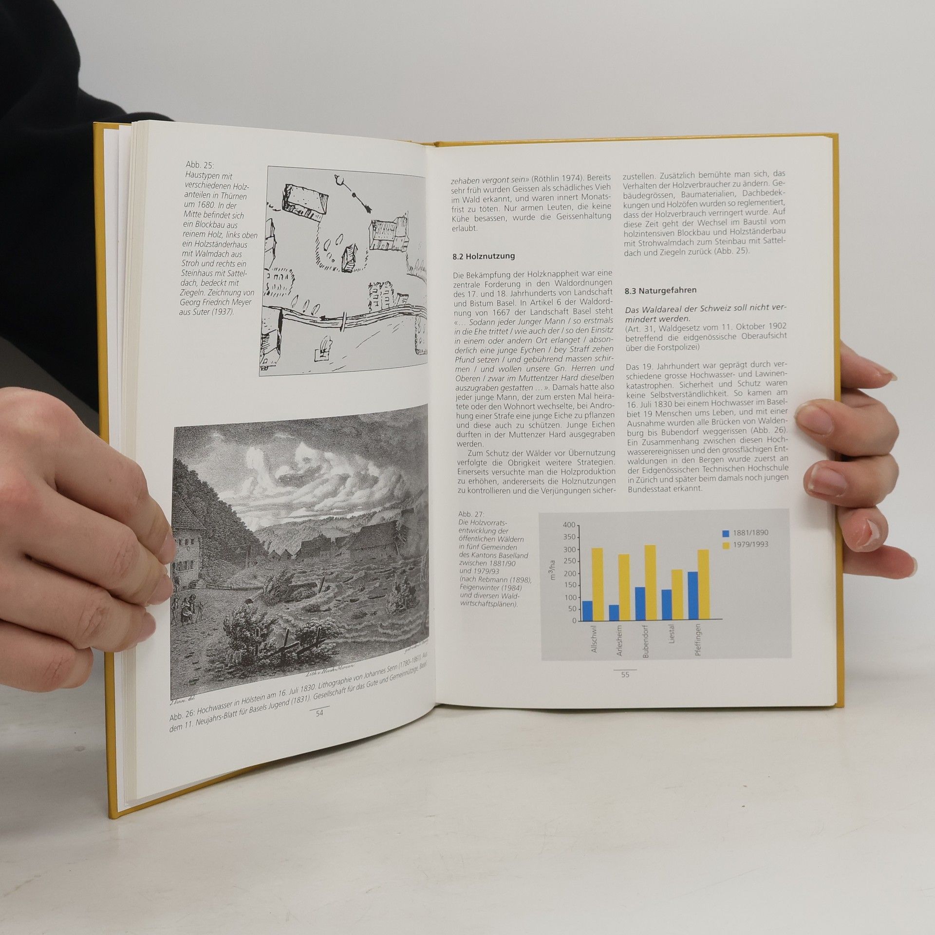 Collectif d'auteurs Der Allschwiler Wald
