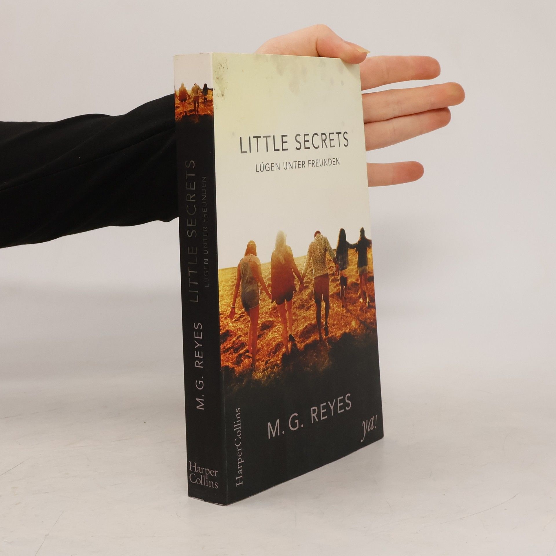 M. G. Reyes Little secrets - Lügen unter Freunden