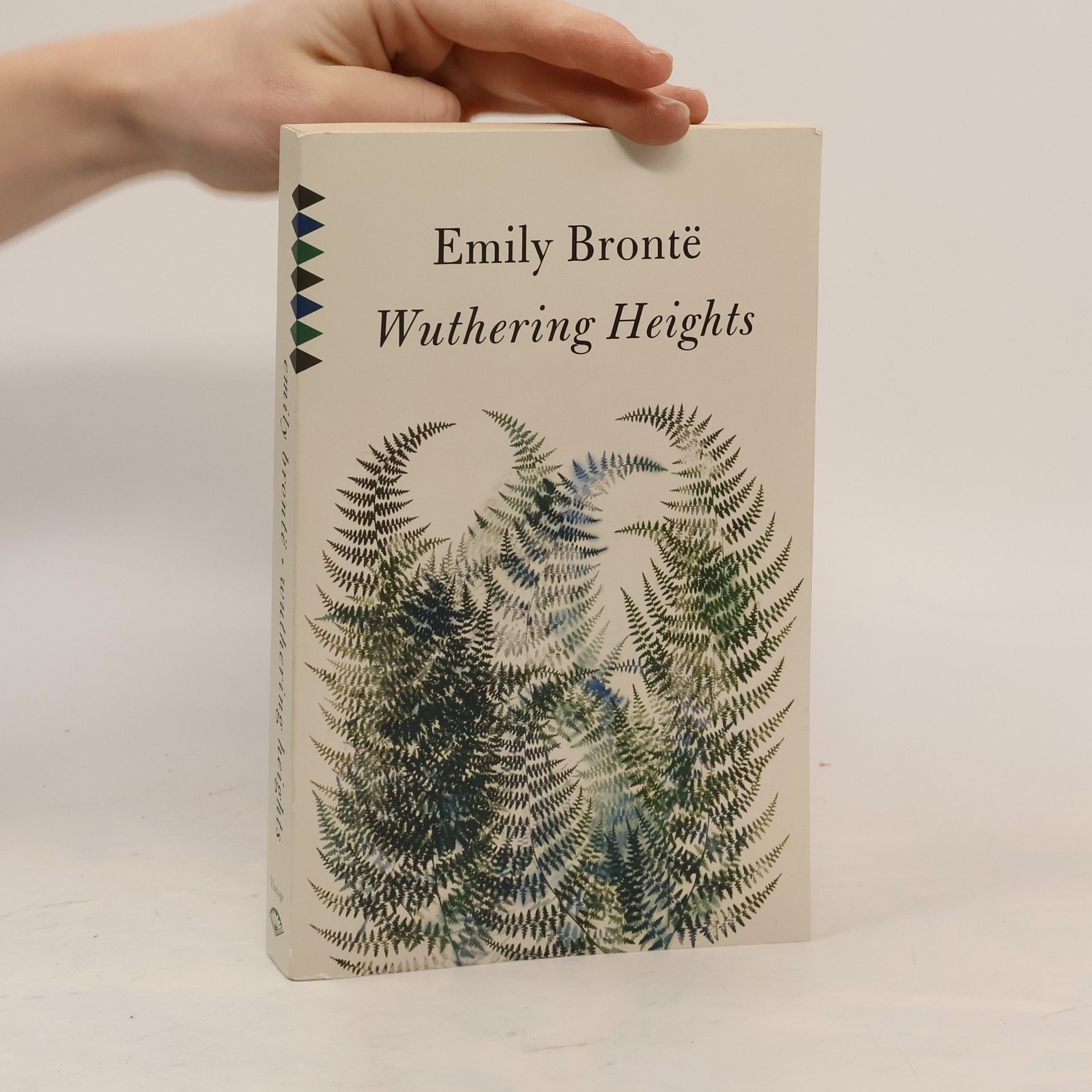Emily Brontë Wuthering Heights