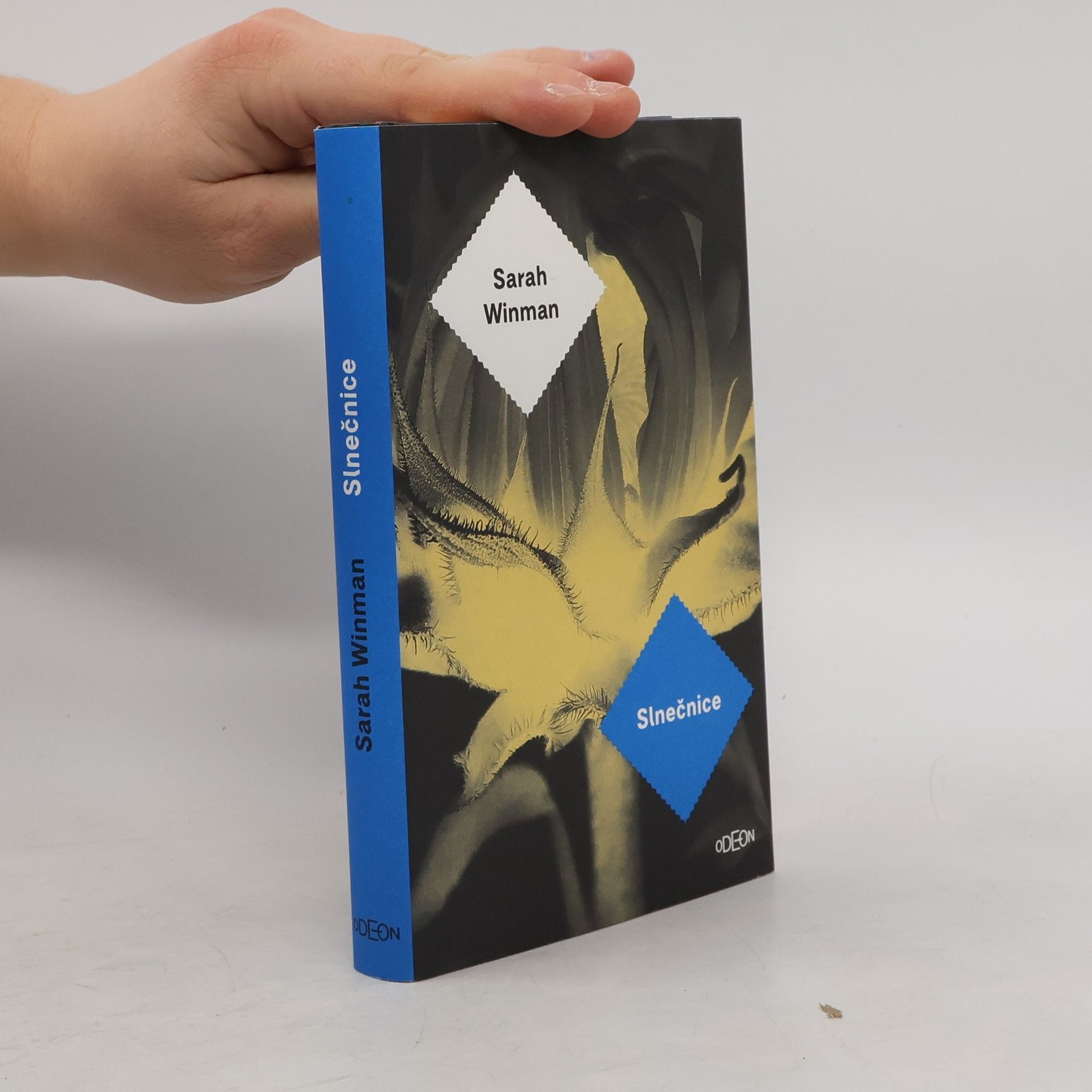 Sarah Winman Slnečnice