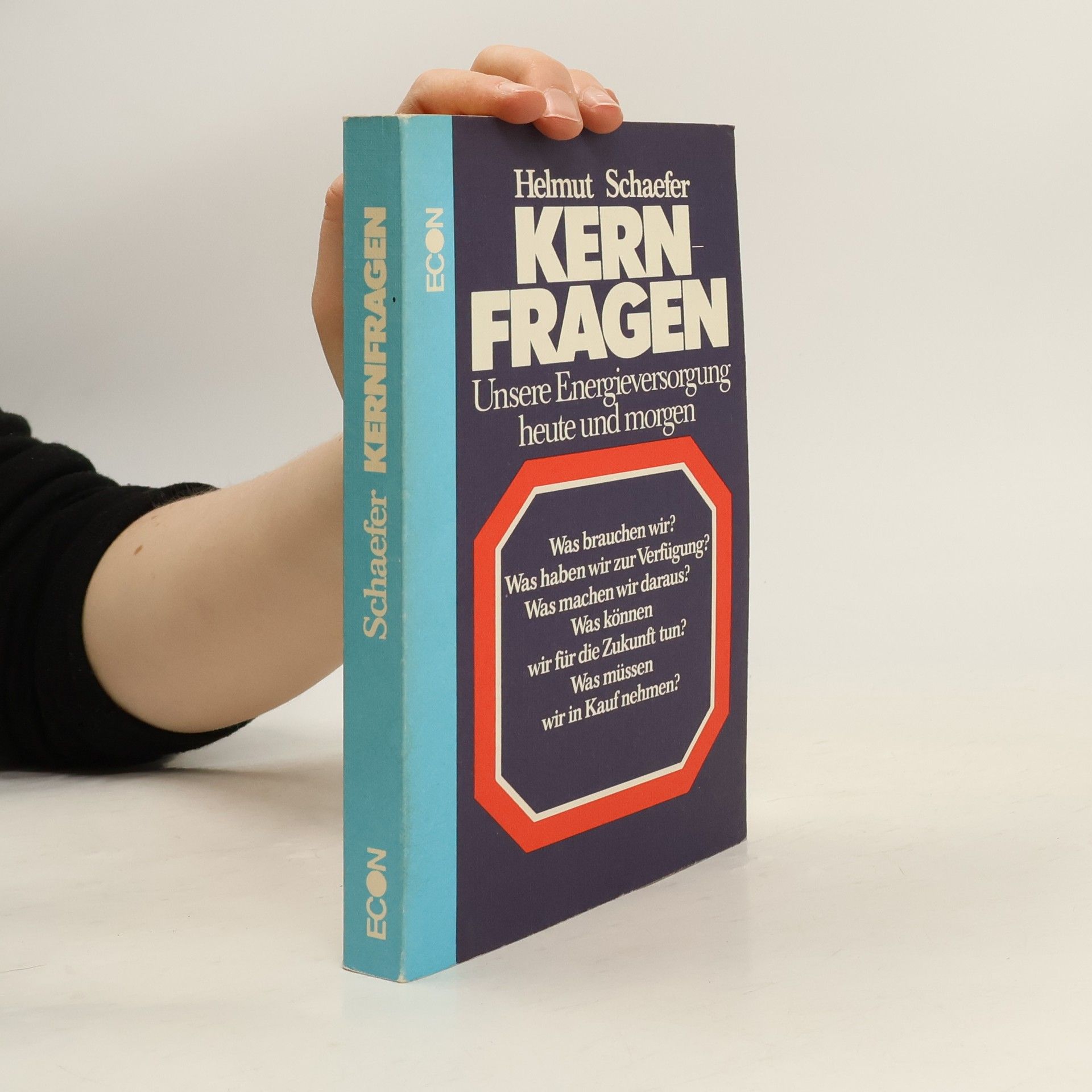 Helmut Schaefer Kernfragen