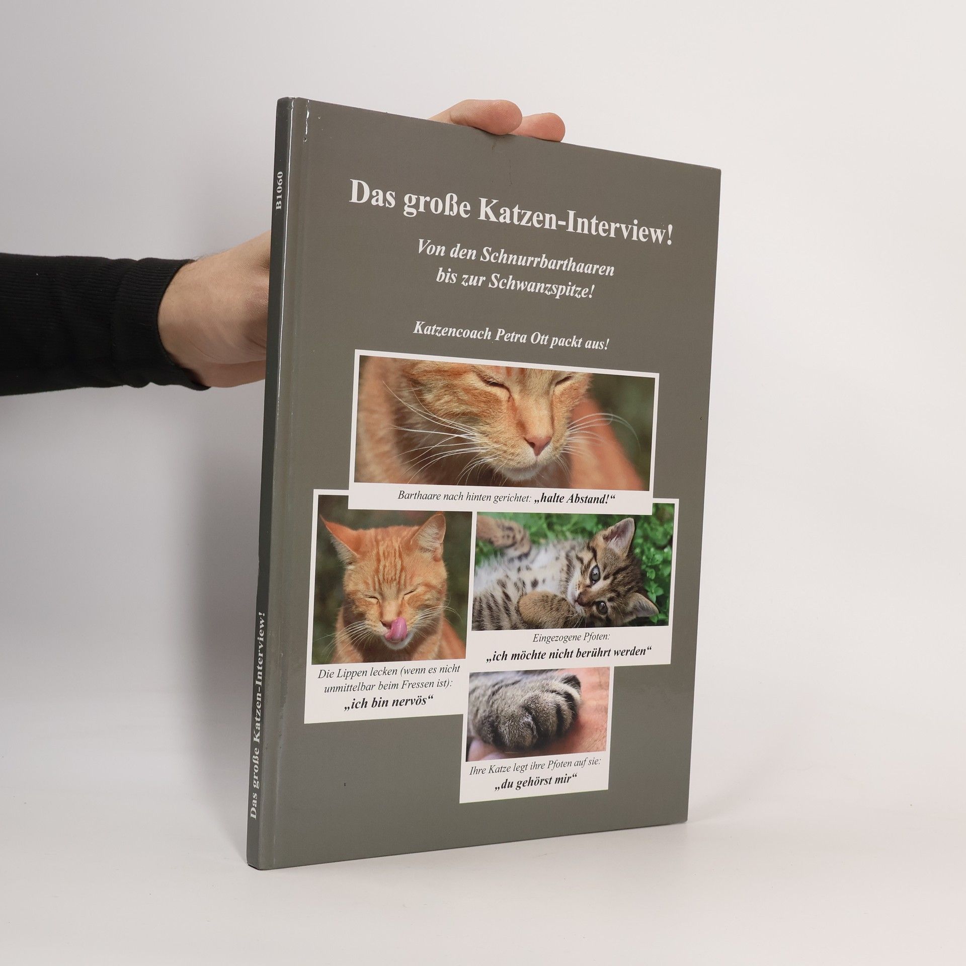 Petra Ott Das große Katzen-Interview!