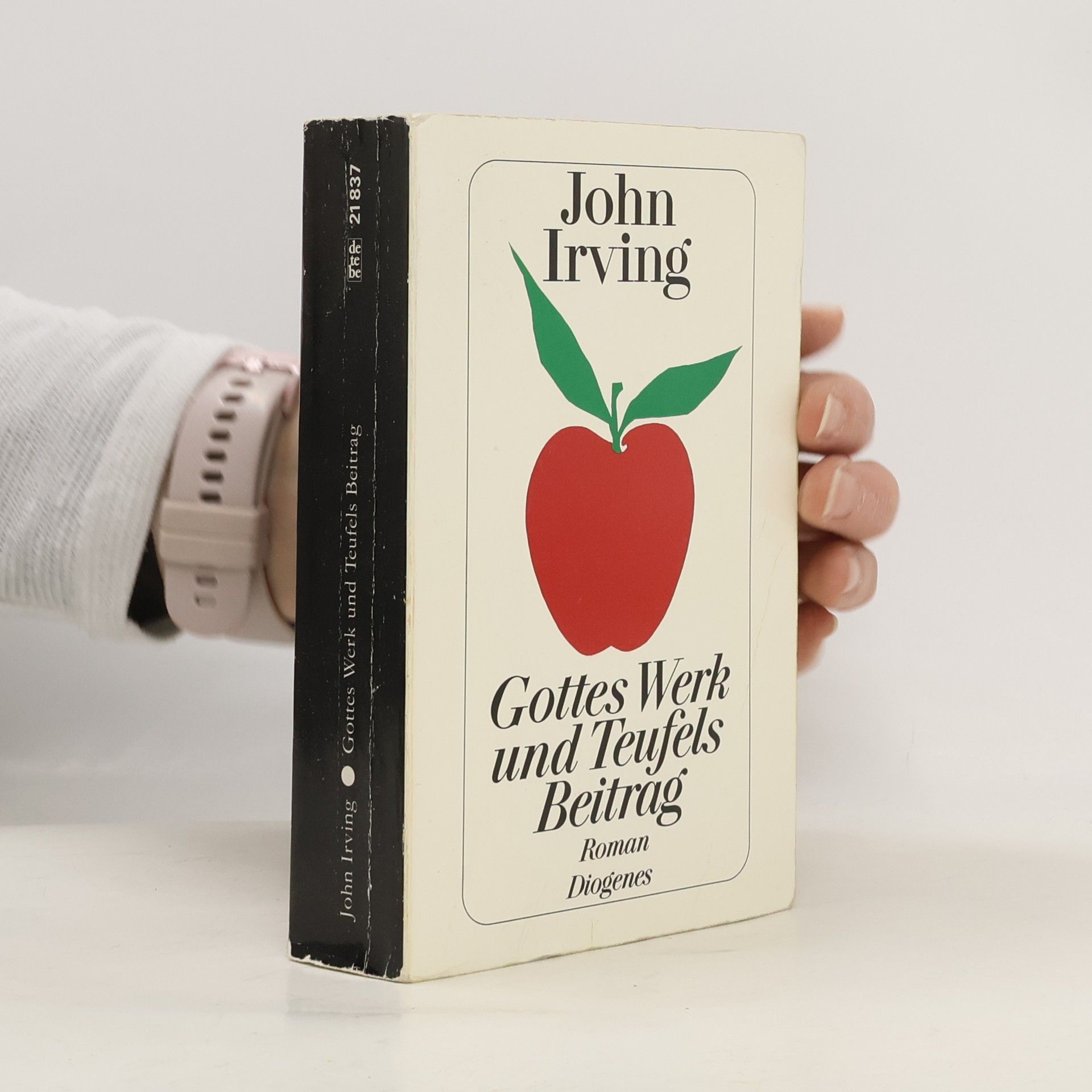 John Irving Gottes Werk und Teufels Beitrag