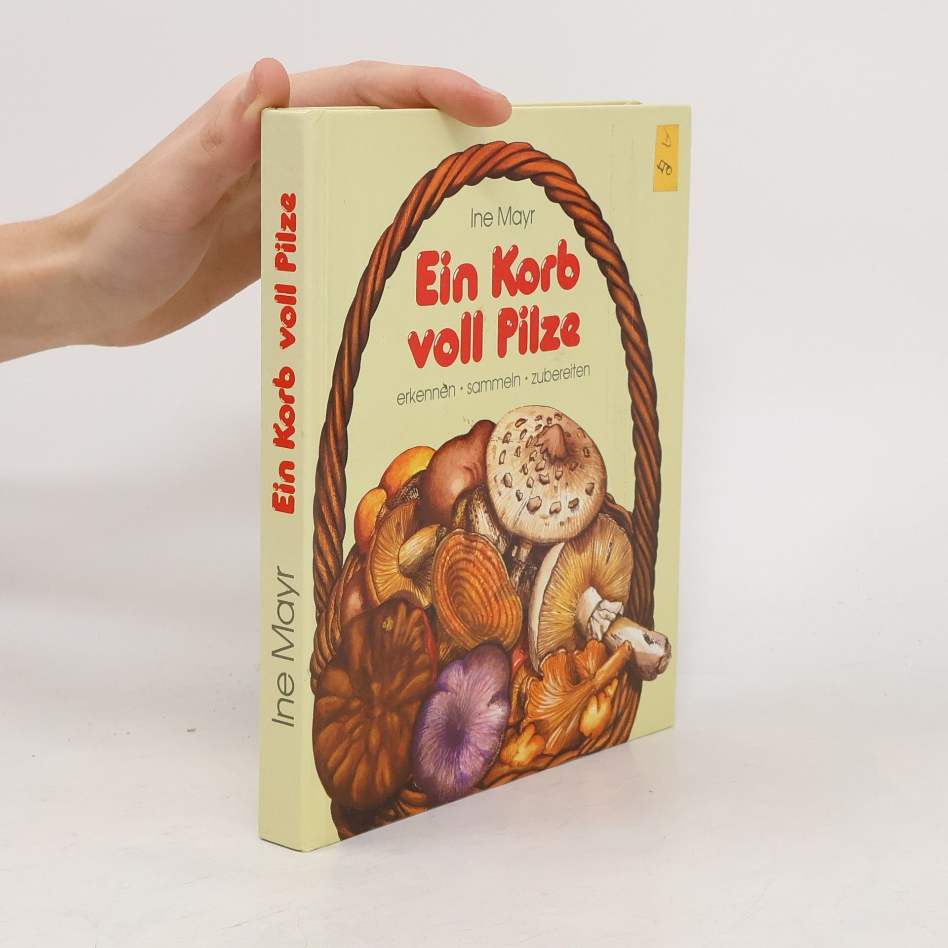 Ine Mayr Ein Korb voll Pilze