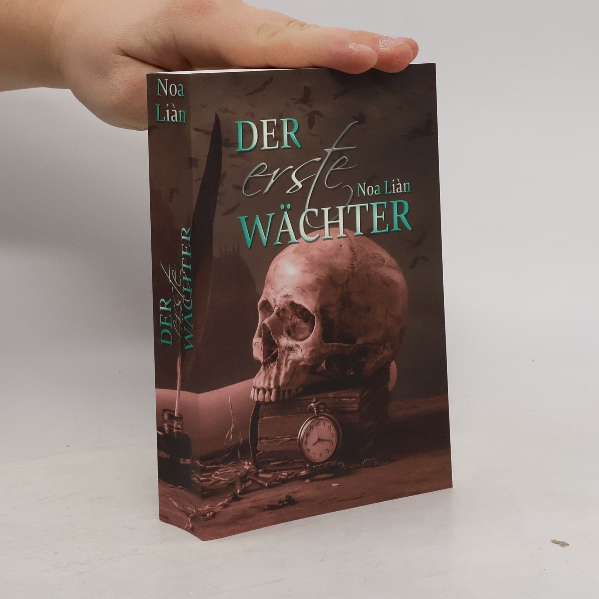 Noa Liàn Der erste Wächter