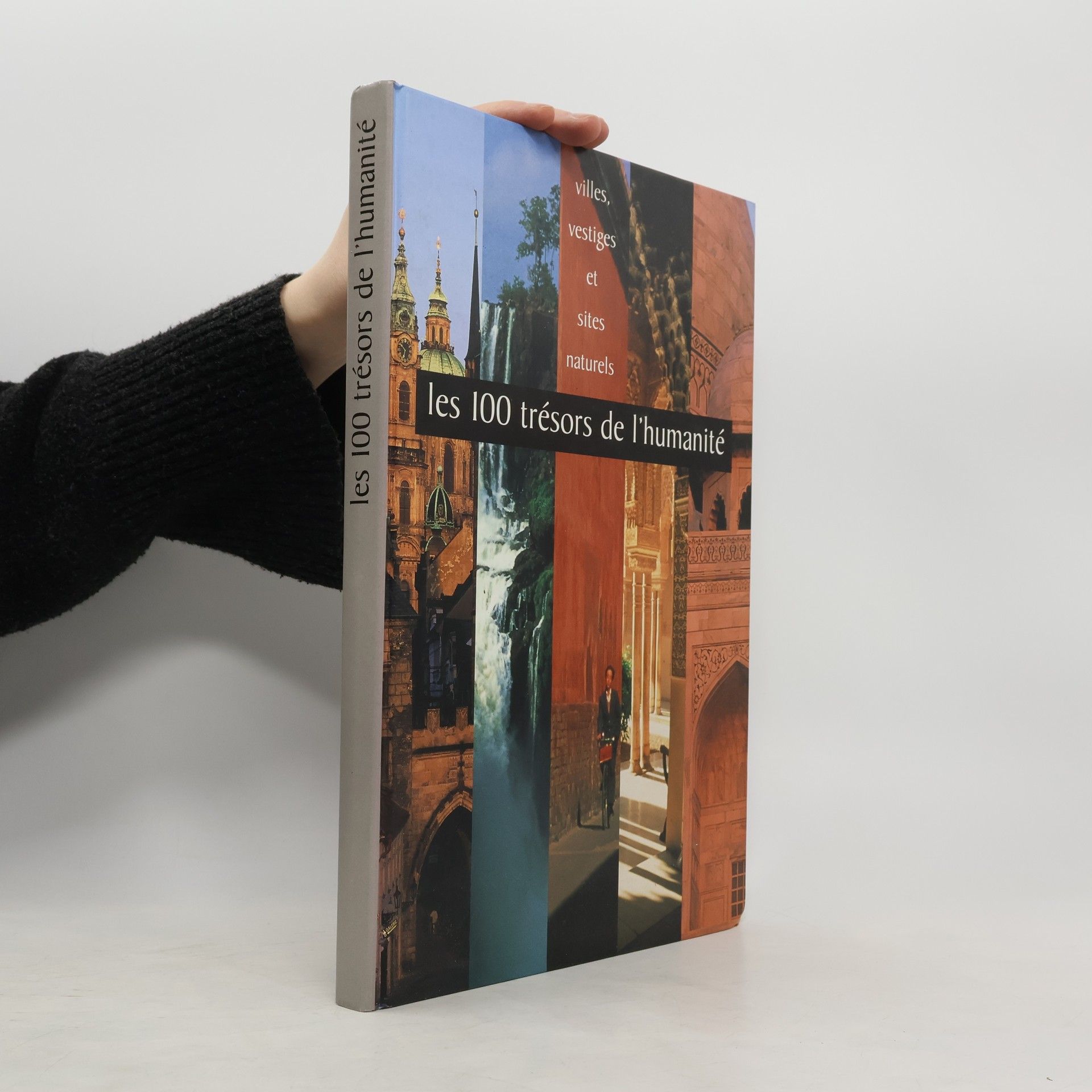 Manfred Leier Les 100 trésors de l'humanité