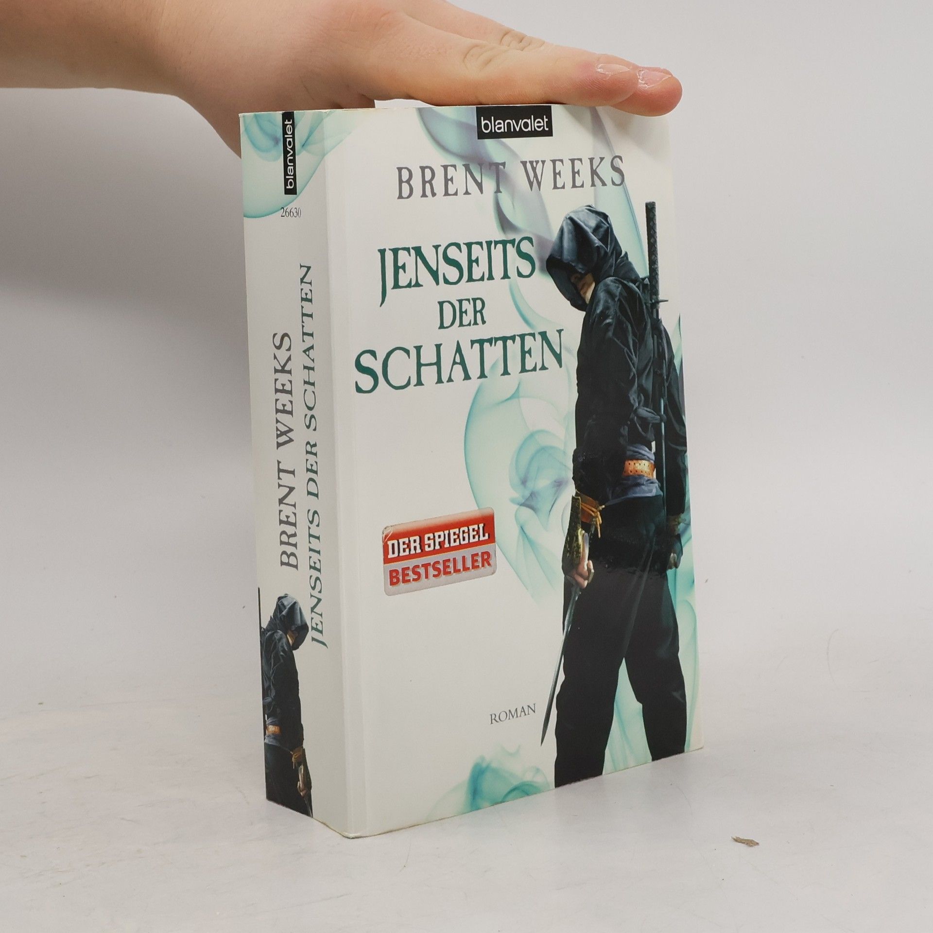 Brent Weeks Die Schatten Trilogie 3. Jenseits der Schatten