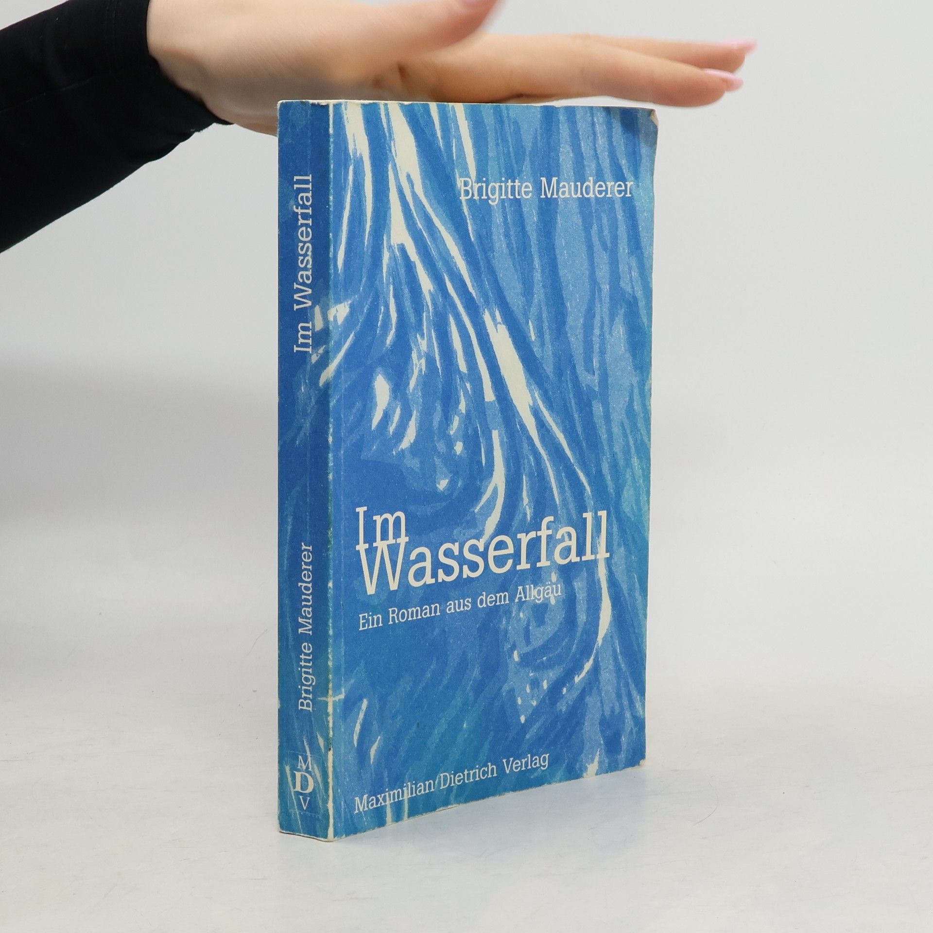 Brigitte Mauderer Im Wasserfall