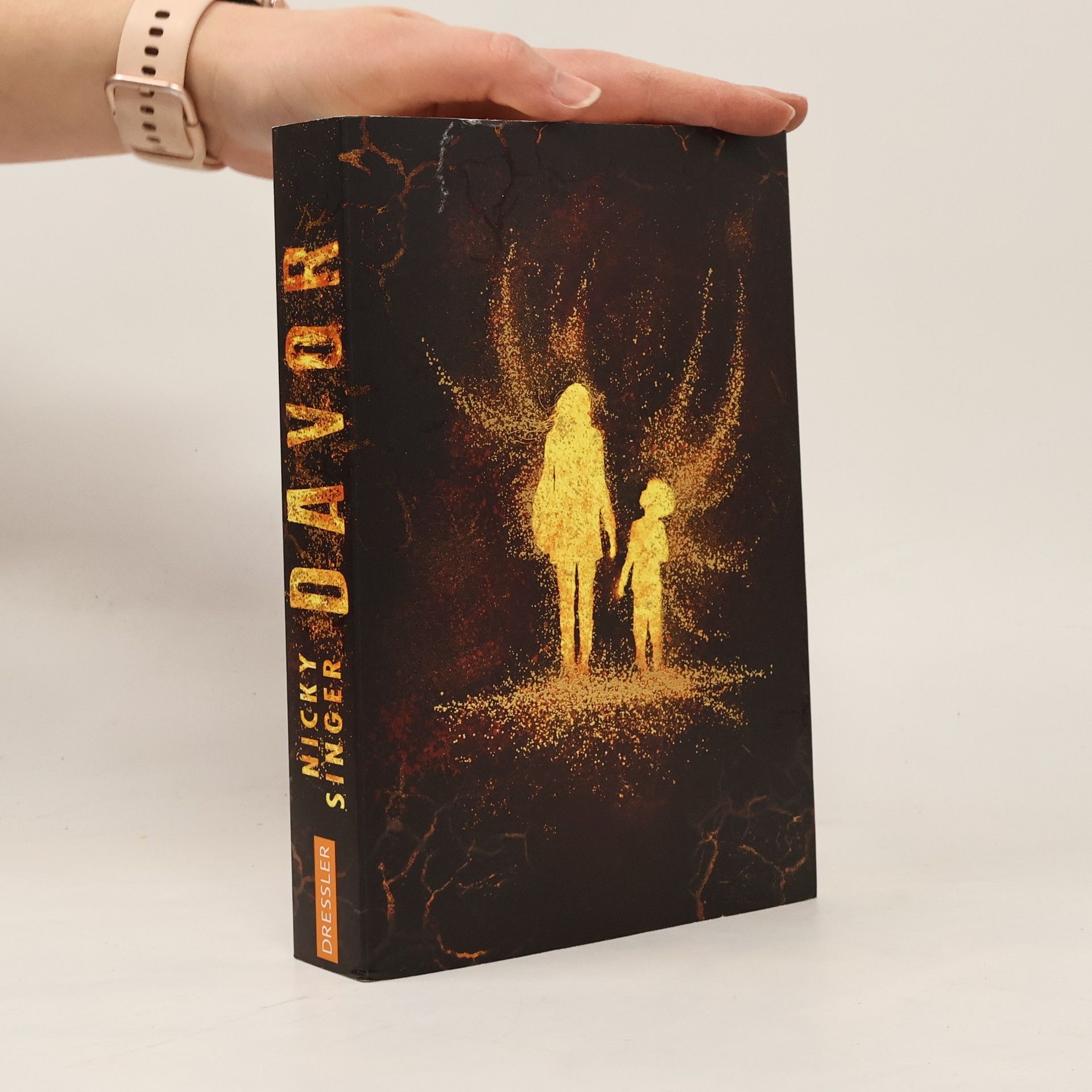 Nicky Singer Davor und Danach