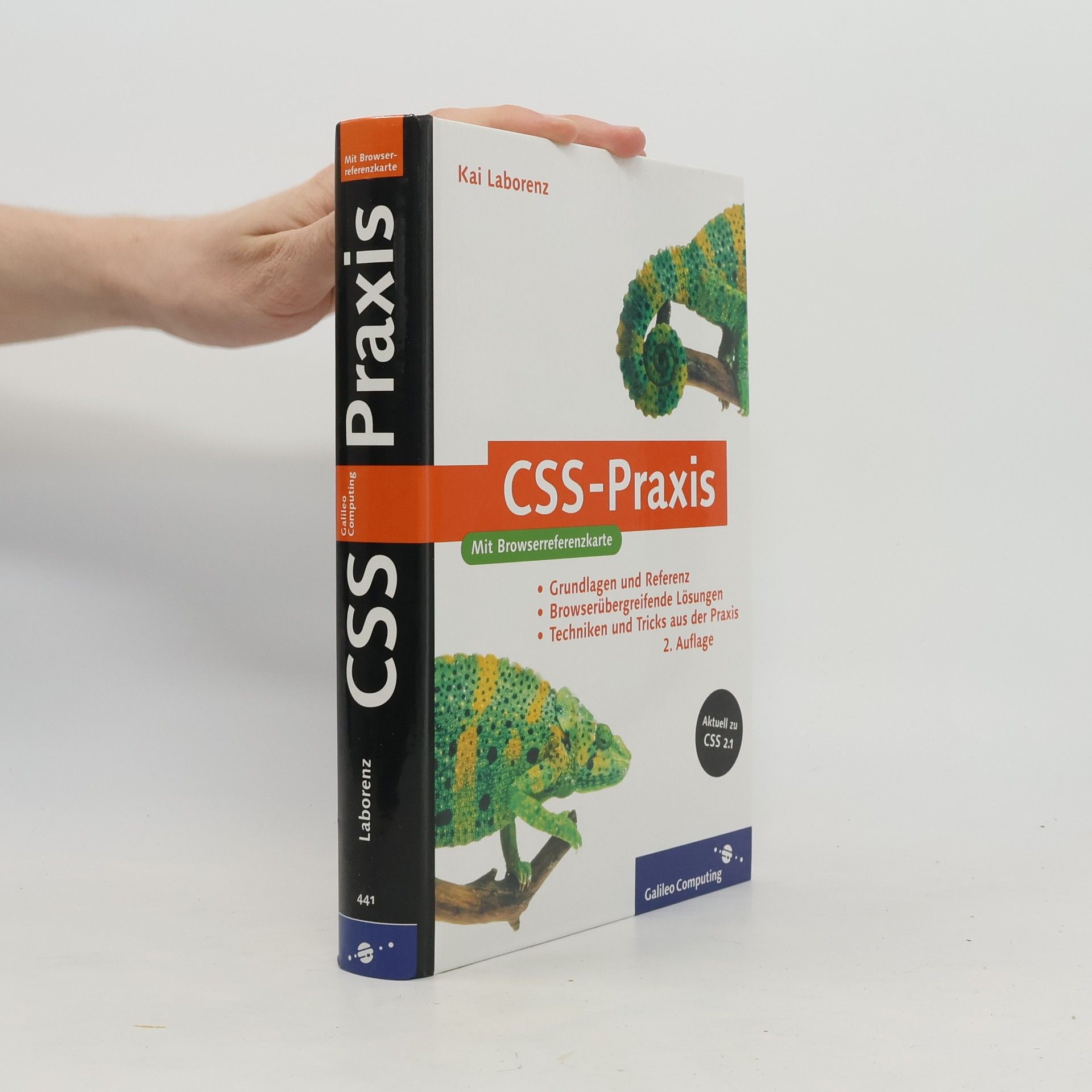 Kai Laborenz Galileo Computing: CSS-Praxis