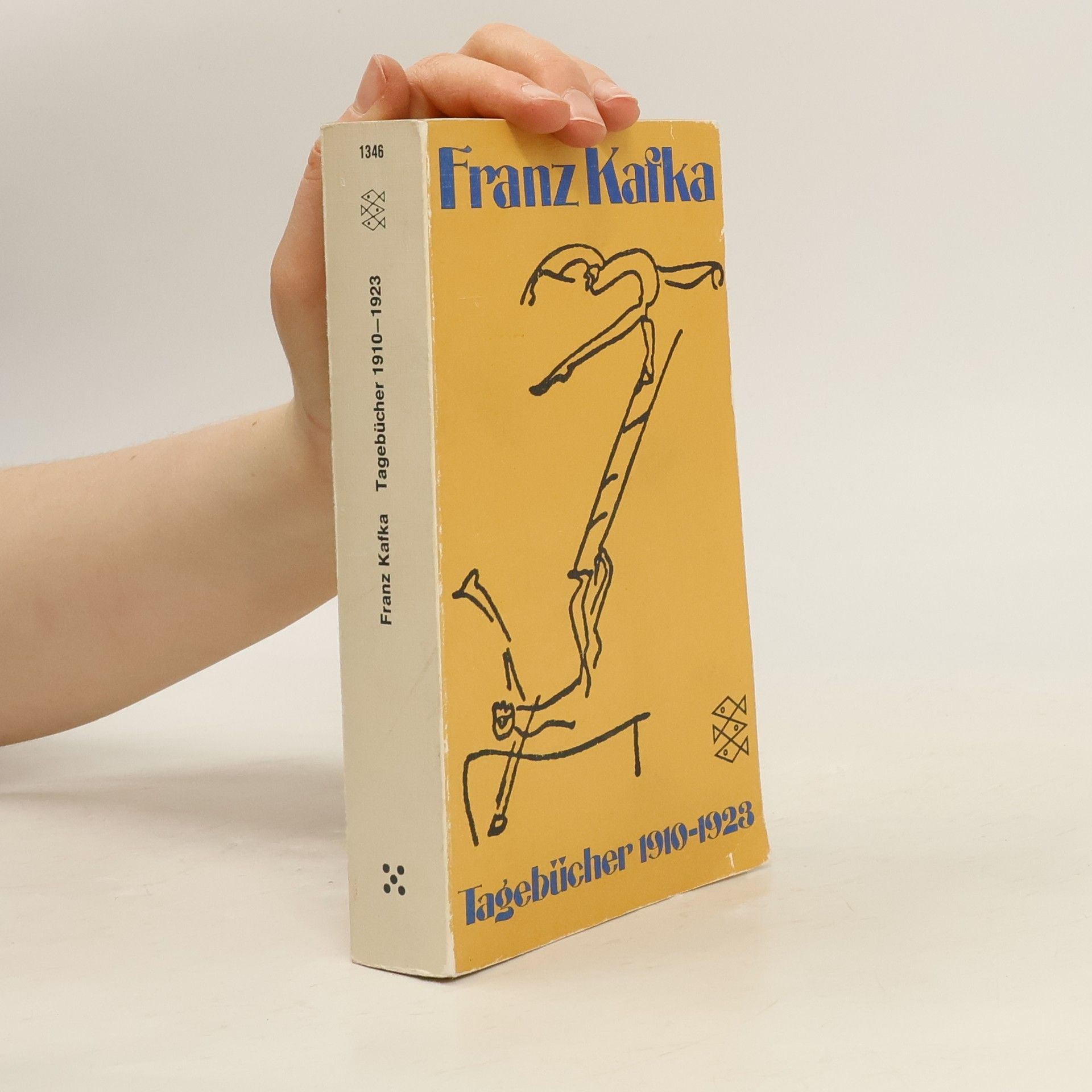 Franz Kafka Tagebücher 1910 - 1923 [neunzehnhundertzehn bis neunzehnhundertdreiundzwanzig]