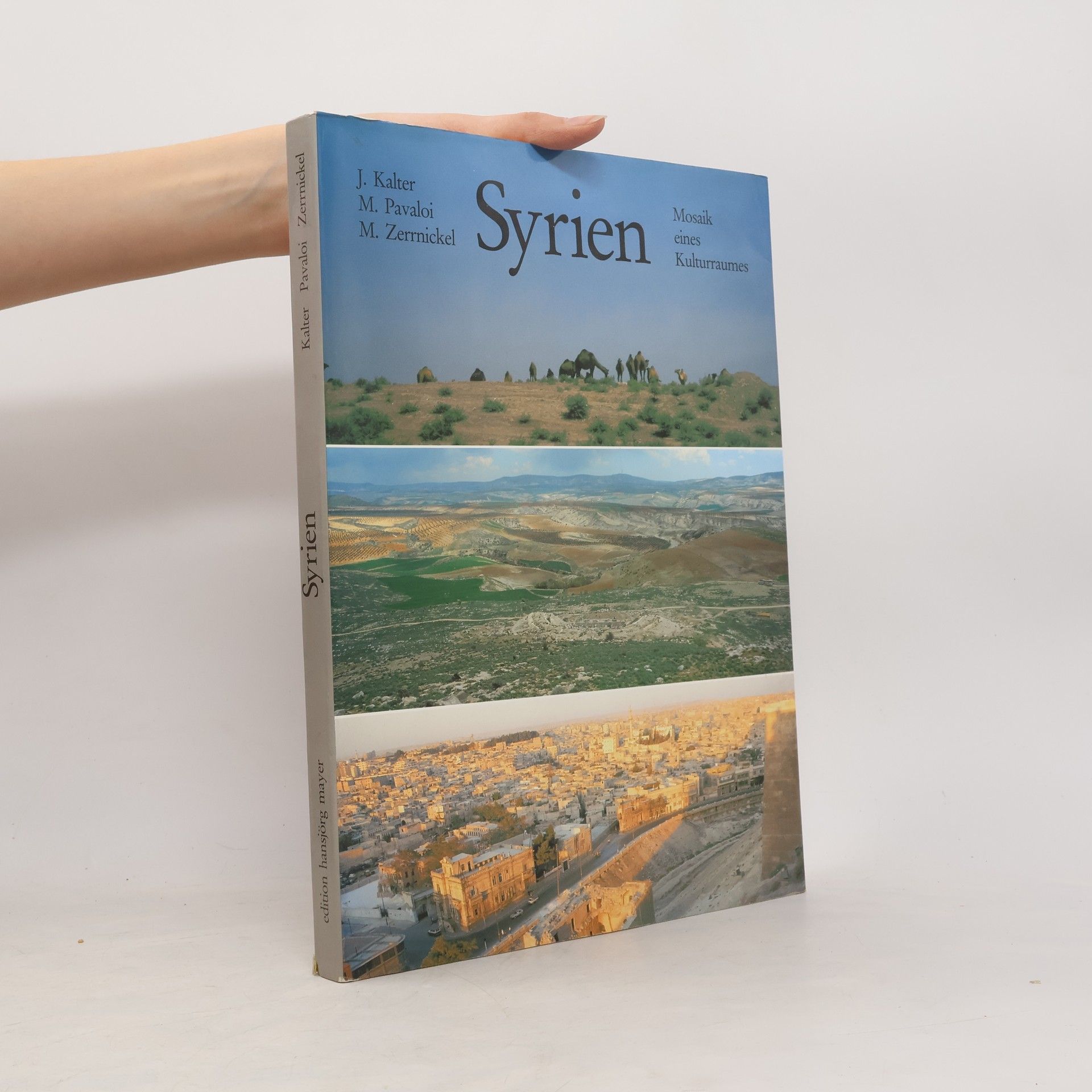 J. Kalter Syrien. Mosaik eines Kulturraumes