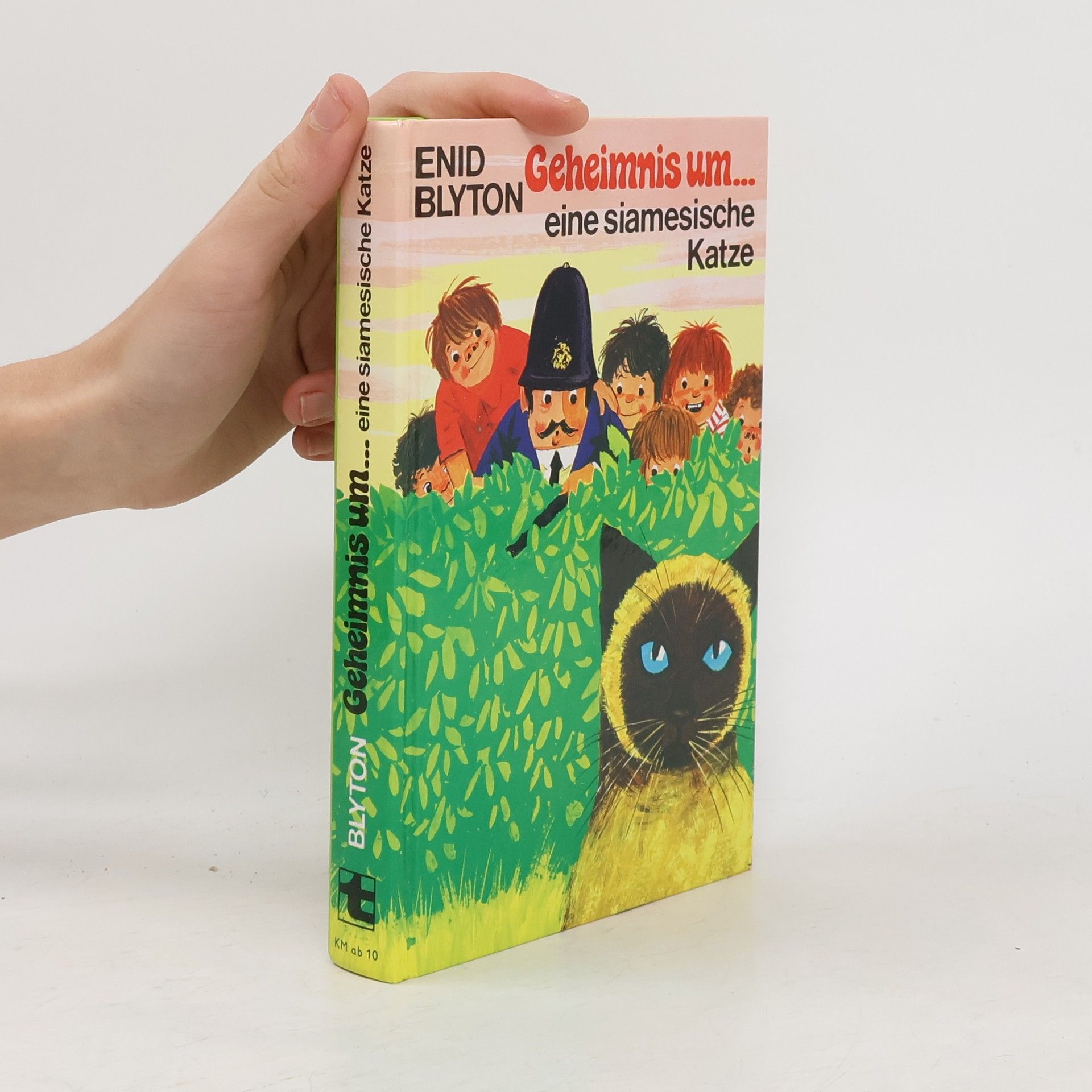 Enid Blyton Geheimnis um ... eine siamesische Katze