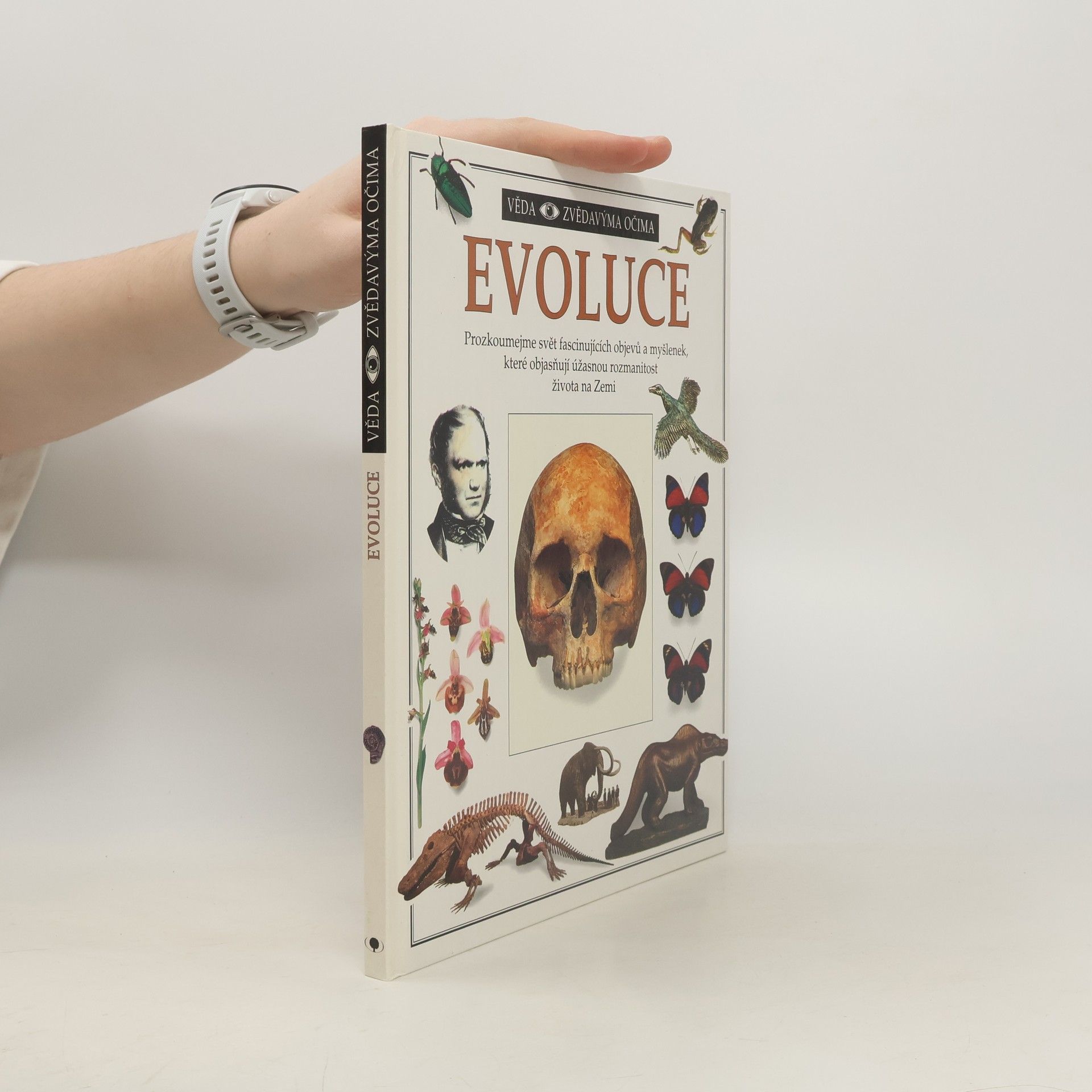 Linda Gamlin Evoluce