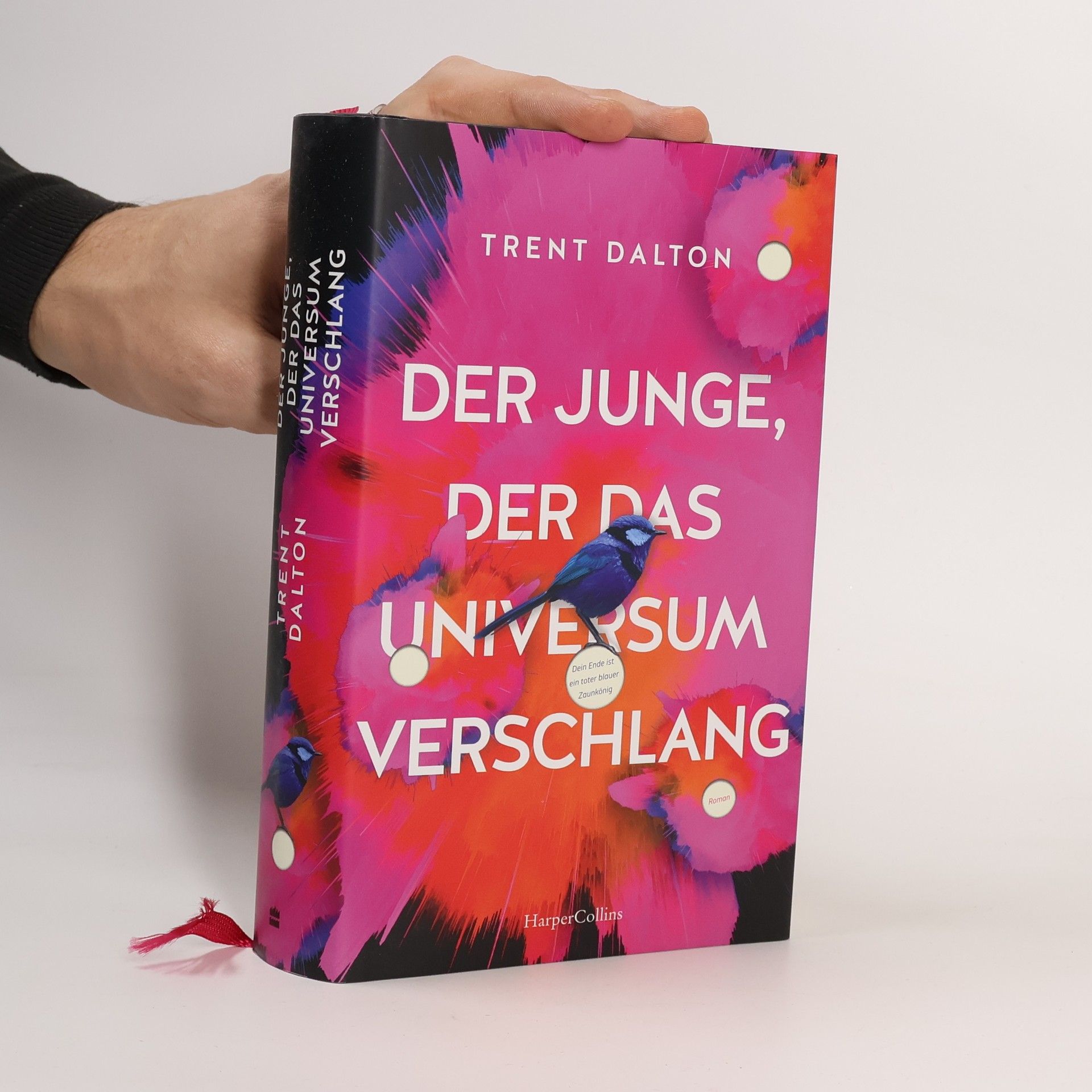 Trent Dalton Der Junge, der das Universum verschlang
