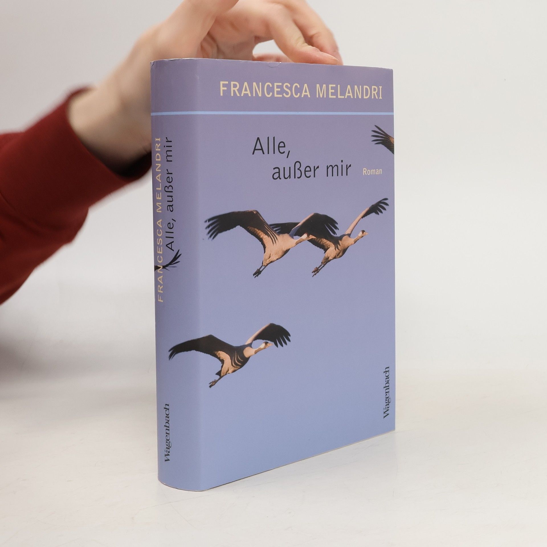 Francesca Melandri Alle, außer mir