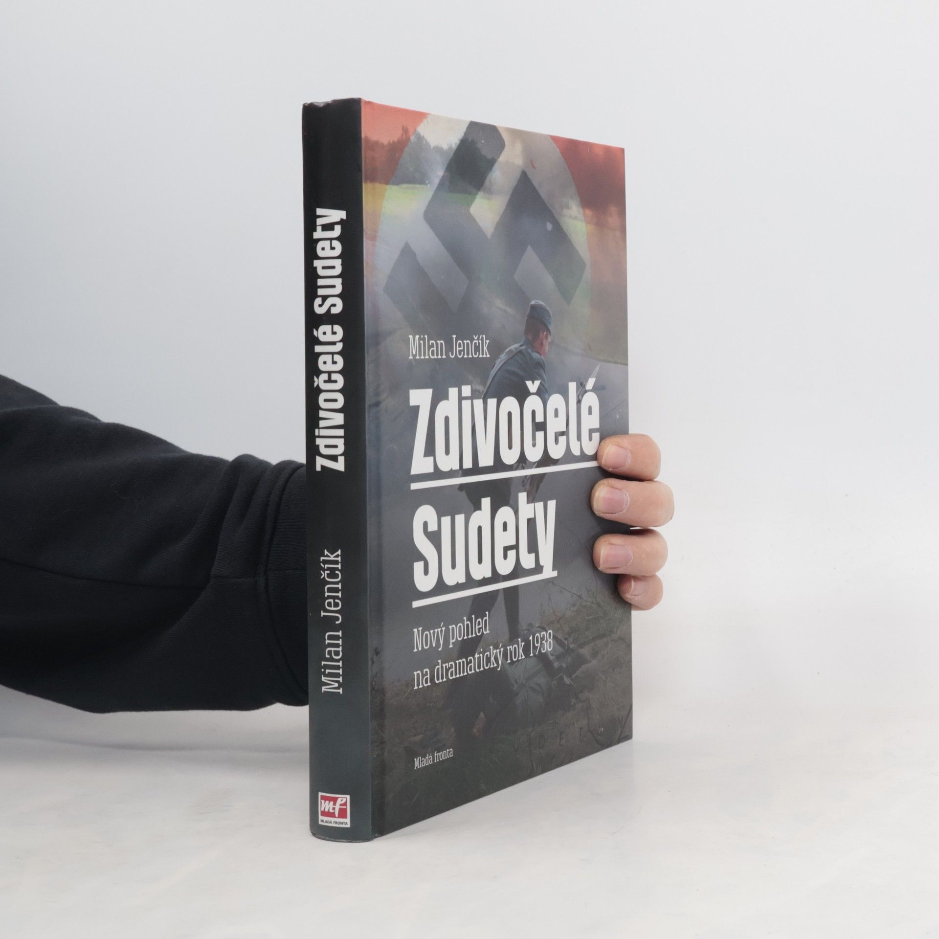 Milan Jenčík Zdivočelé Sudety. Nový pohled na dramatický rok 1938