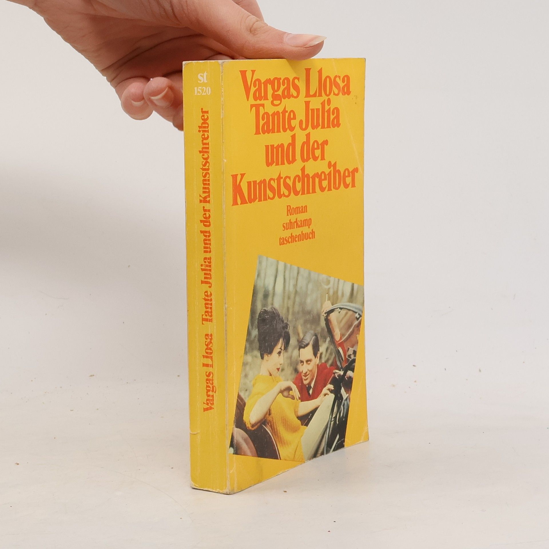 Mario Vargas Llosa Tante Julia und der Kunstschreiber