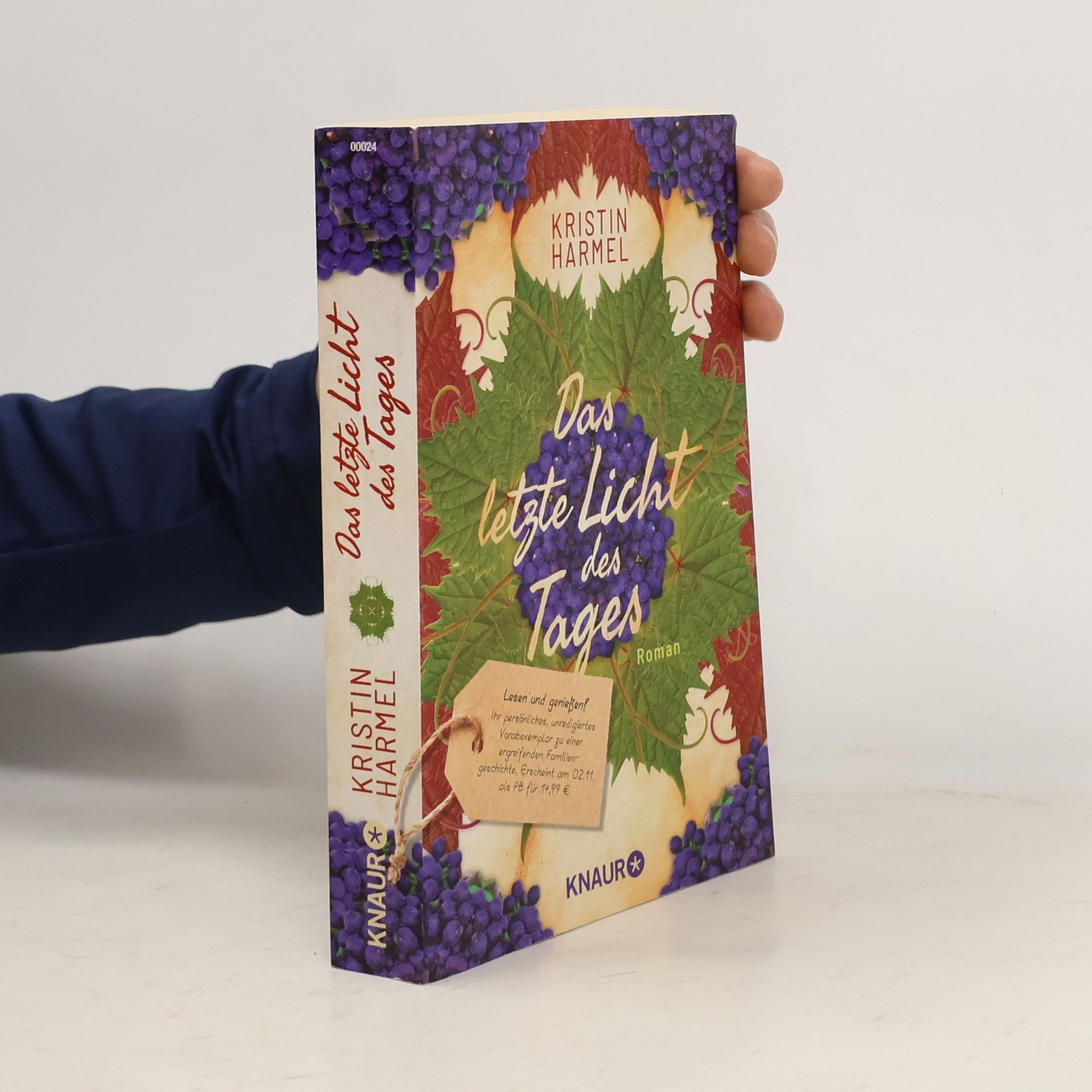 Kristin Harmel Das letzte Licht des Tages