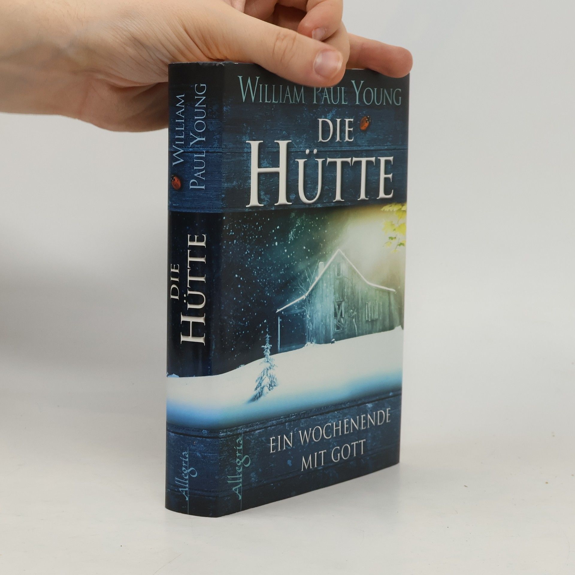 William P. Young Die Hütte