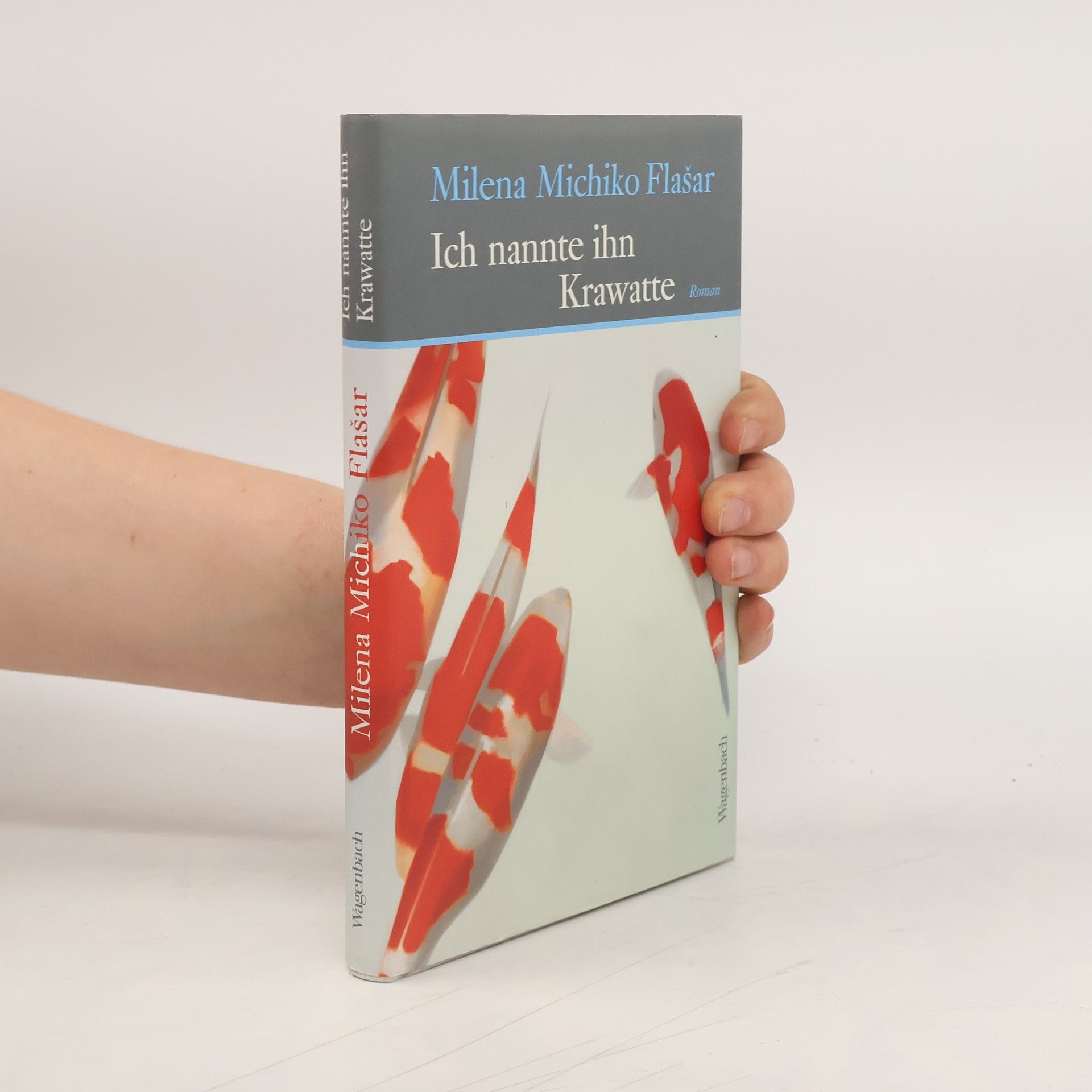 Milena Michiko Flašar Ich nannte ihn Krawatte