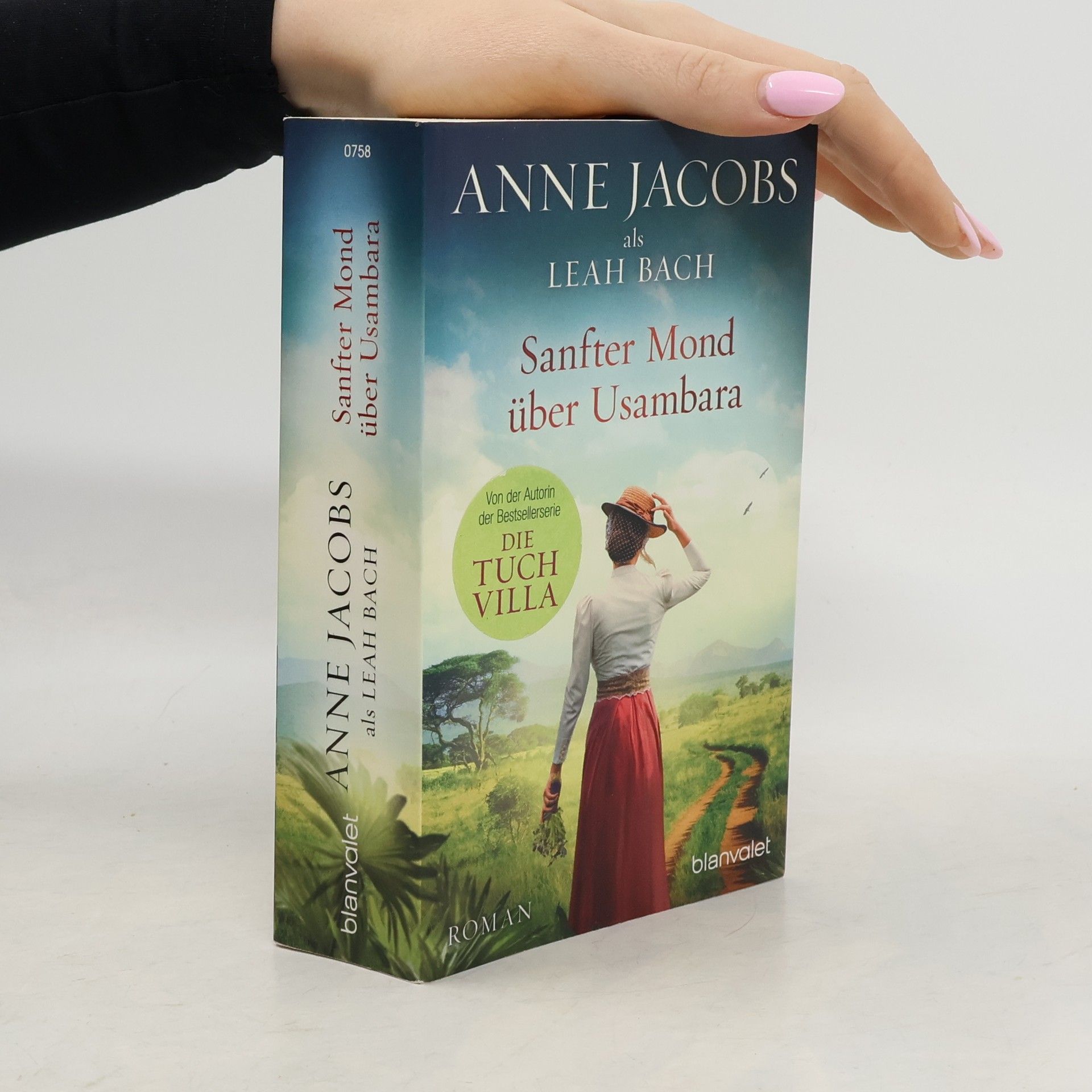 Anne Jacobs Sanfter Mond über Usambara