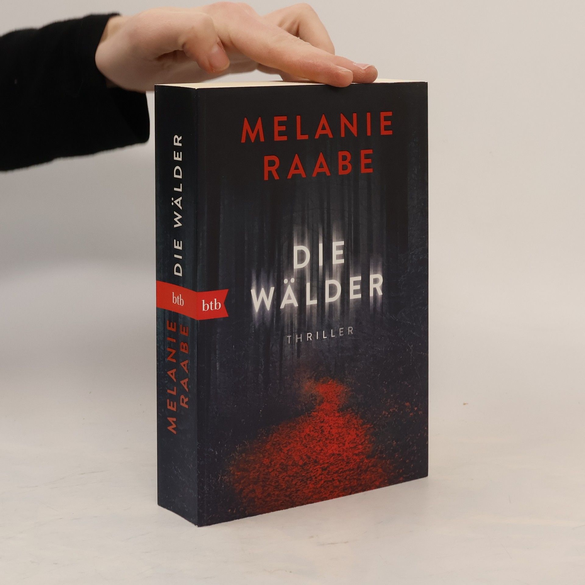 Melanie Raabe Die Wälder