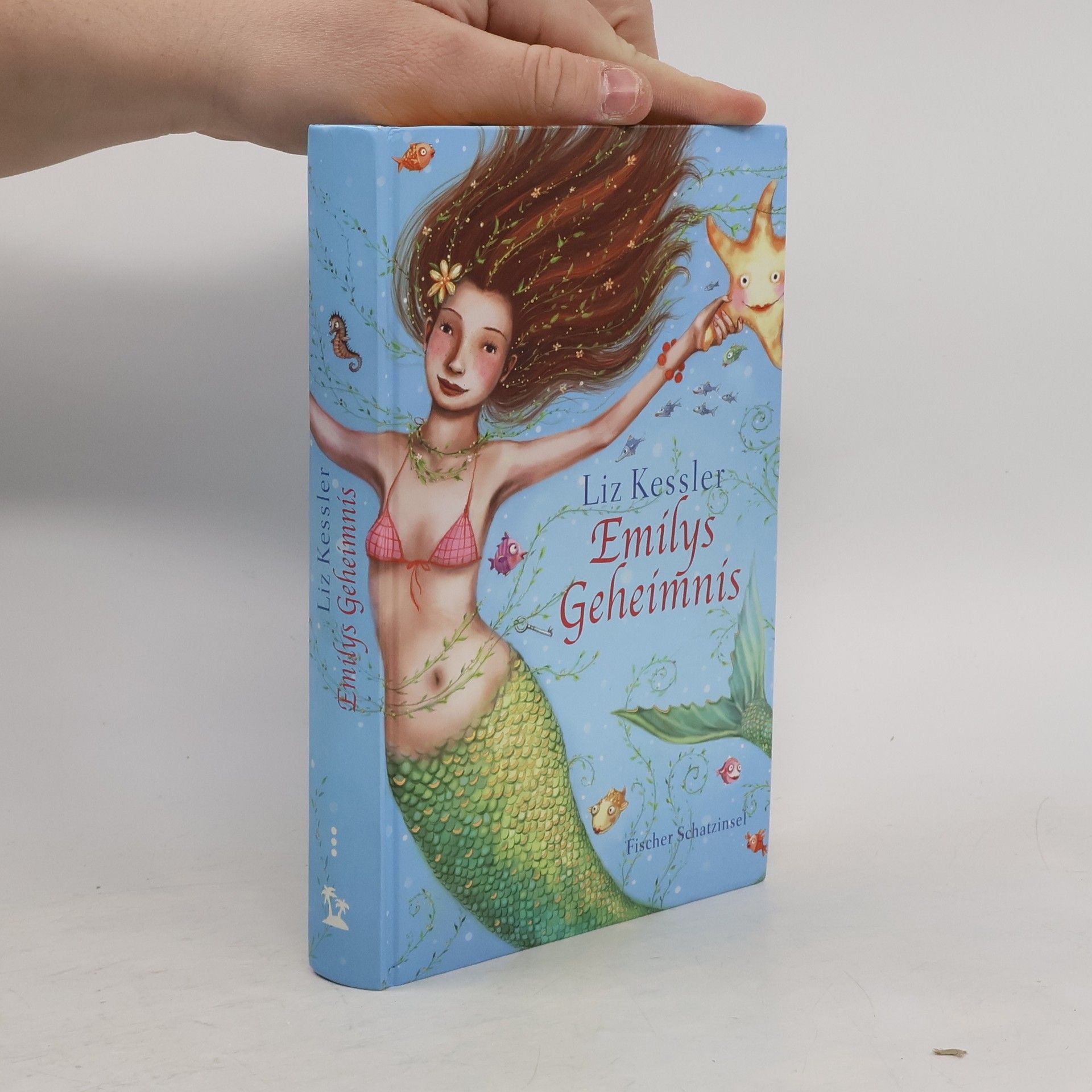 Stephen Elboz Der Sohn des Zauberers