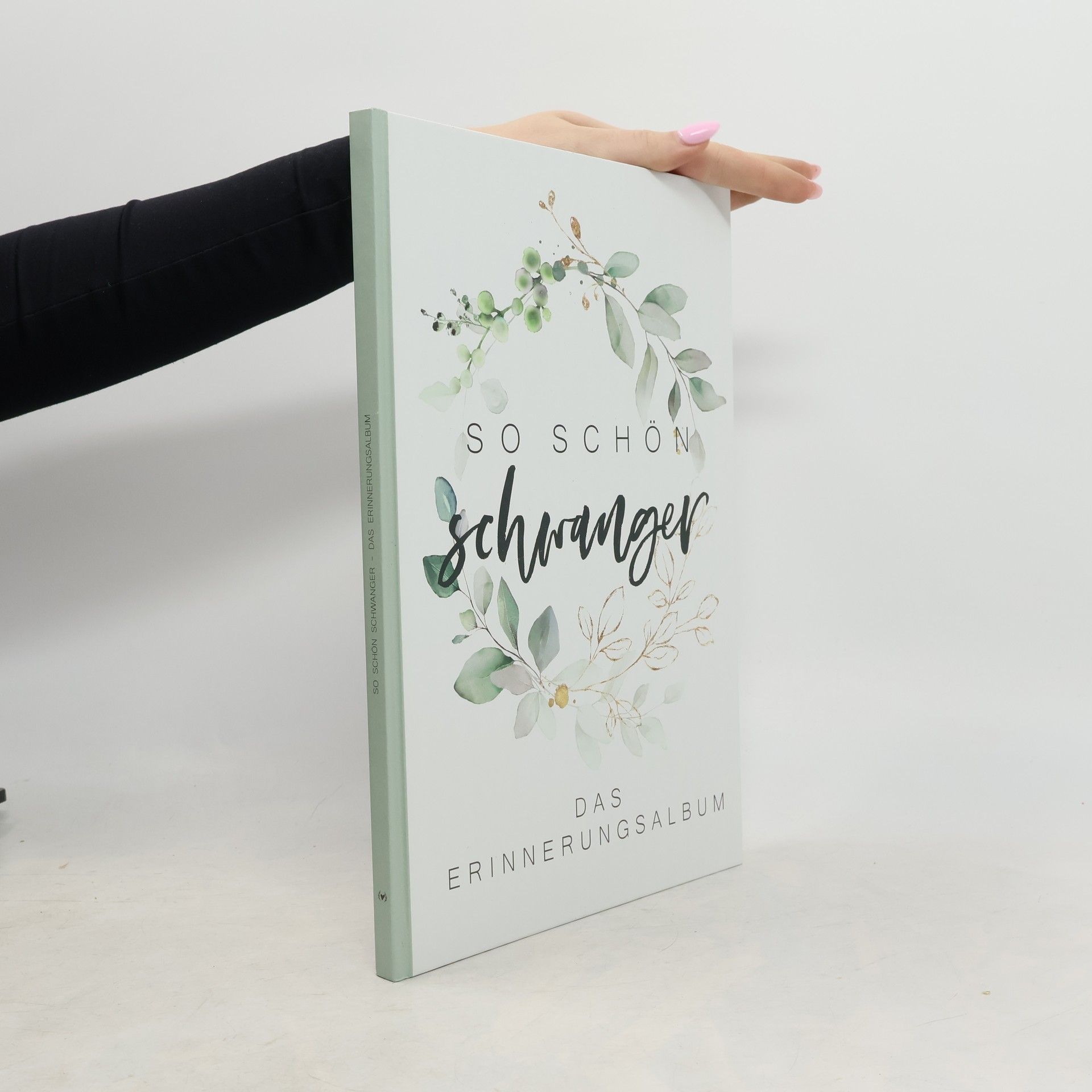 Collectif d'auteurs So schön schwanger. Das Erinnerungsalbum