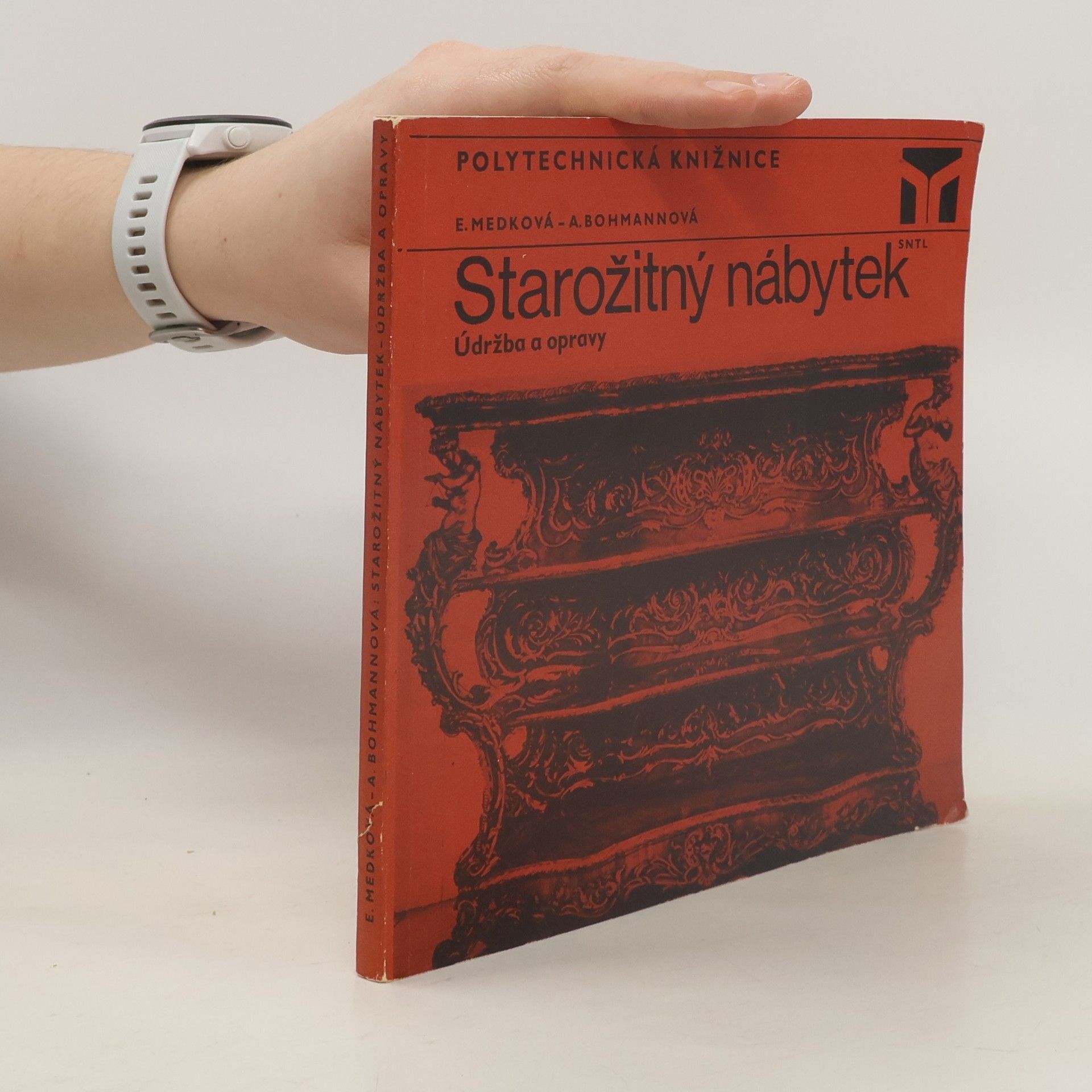 Andrea Bohmannová Starožitný nábytek. Údržba a opravy