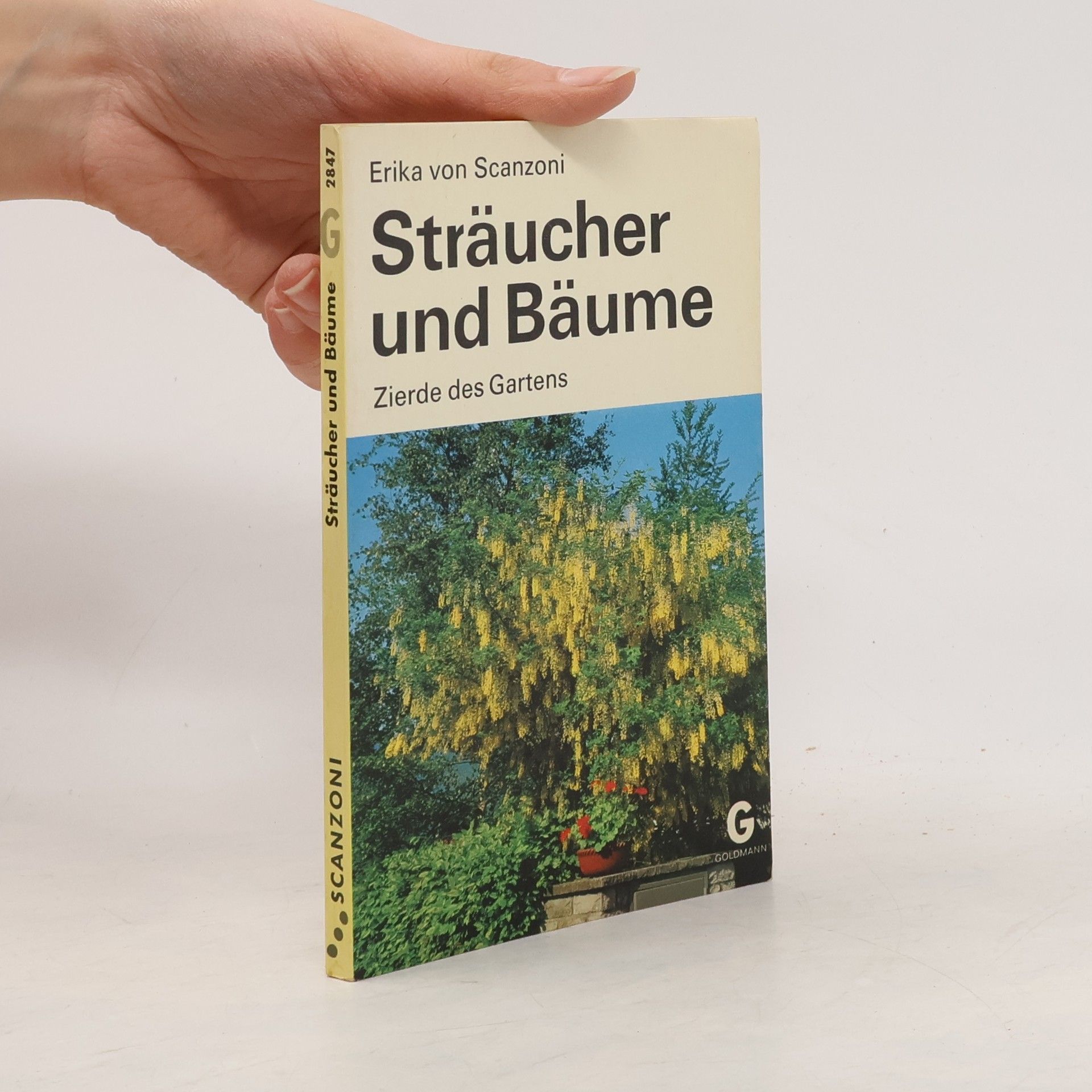 Erika von Scanzoni Sträucher und Bäume