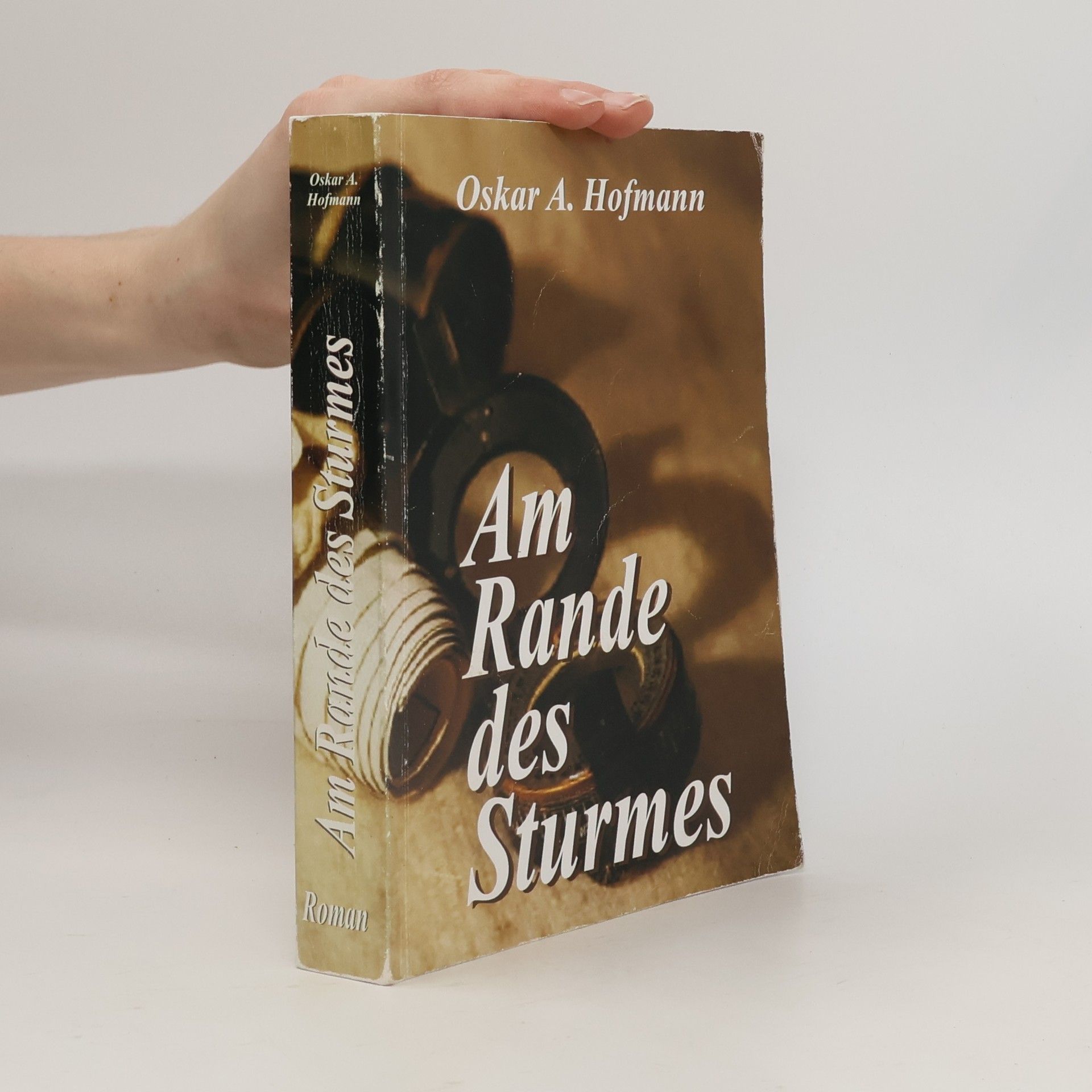 Am Rande des Sturmes