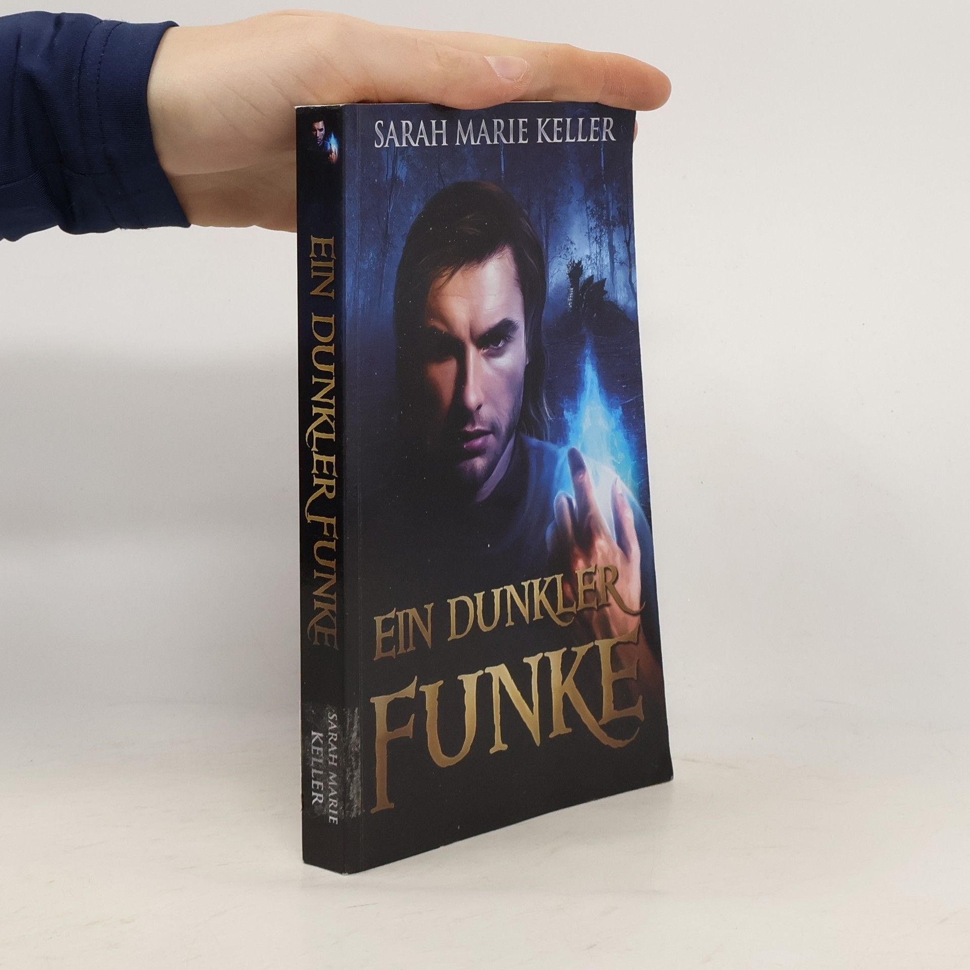 Sarah Marie Keller Dalans Prophezeiung - 1: Ein dunkler Funke